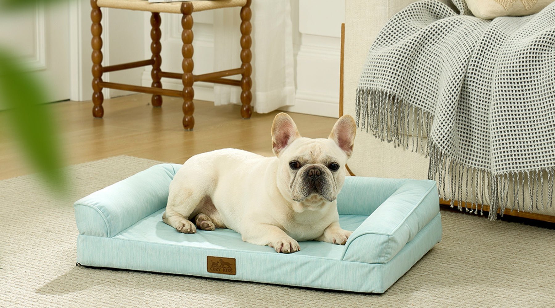 Best Orthopedic Dog Beds: Why They Matter for Your Senior Dog - Cozy Bliss