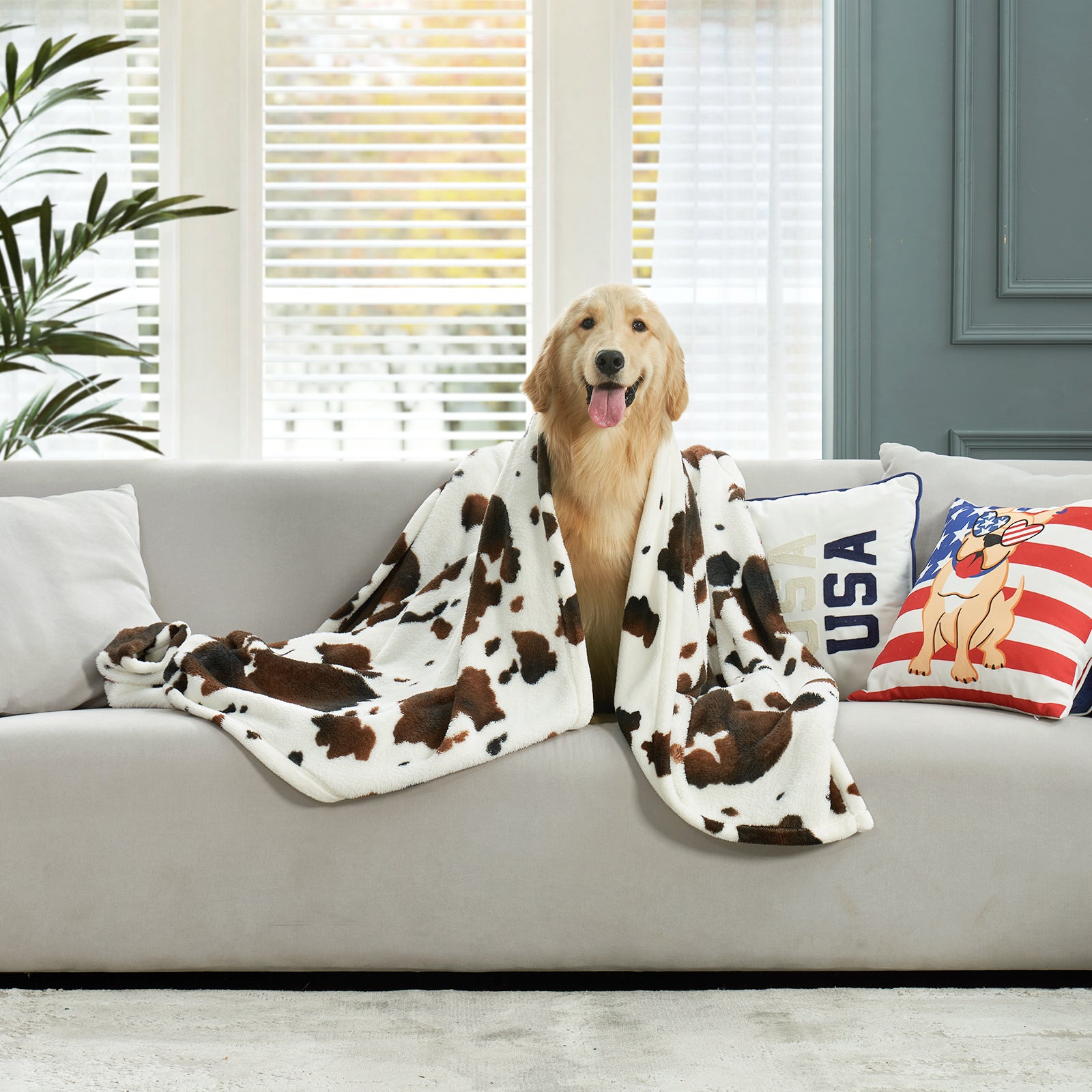 Dog sitting on a couch with a cow print blanket, surrounded by decorative pillows.#color_Black Brown