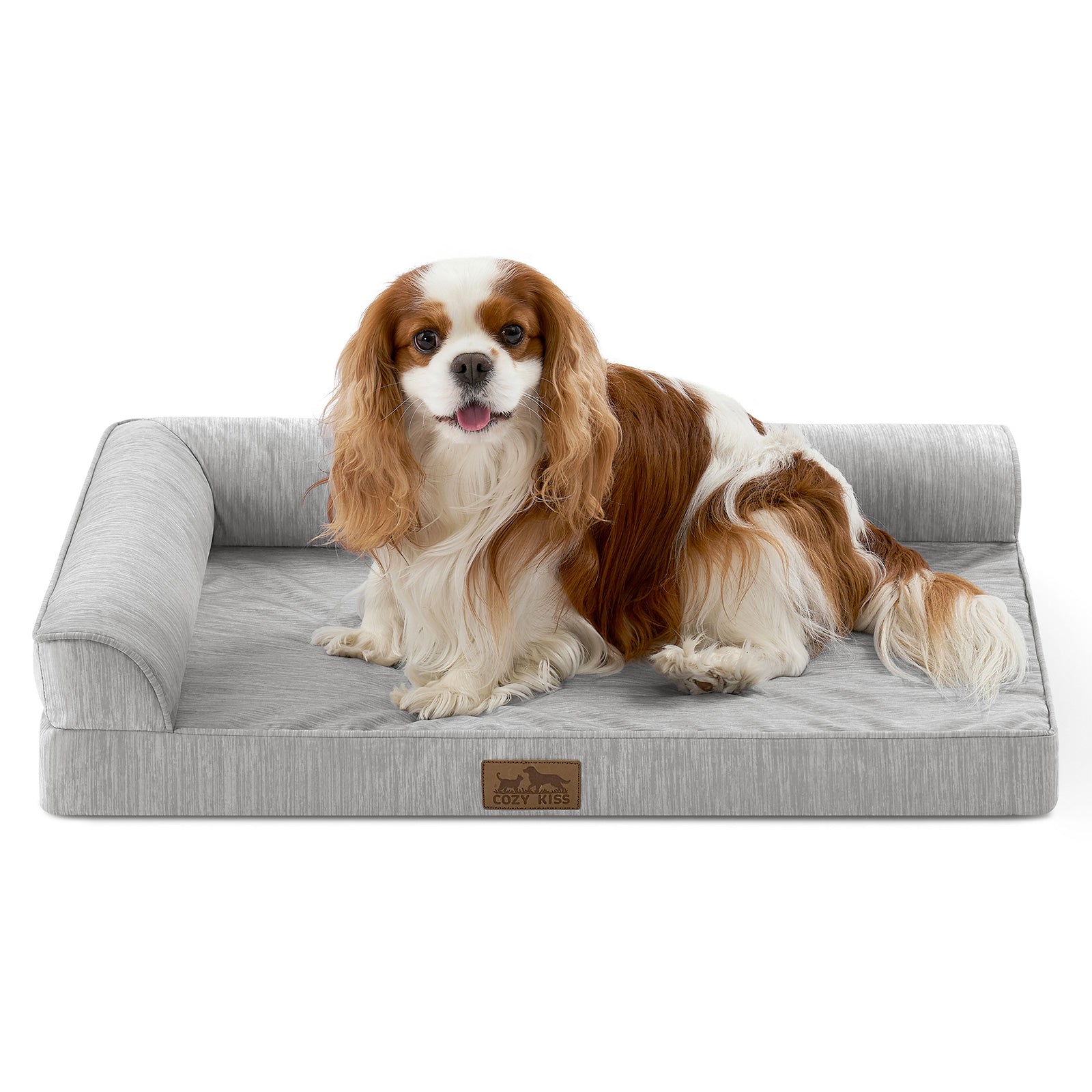 Small dog sitting on a gray pet bed#color_Grey