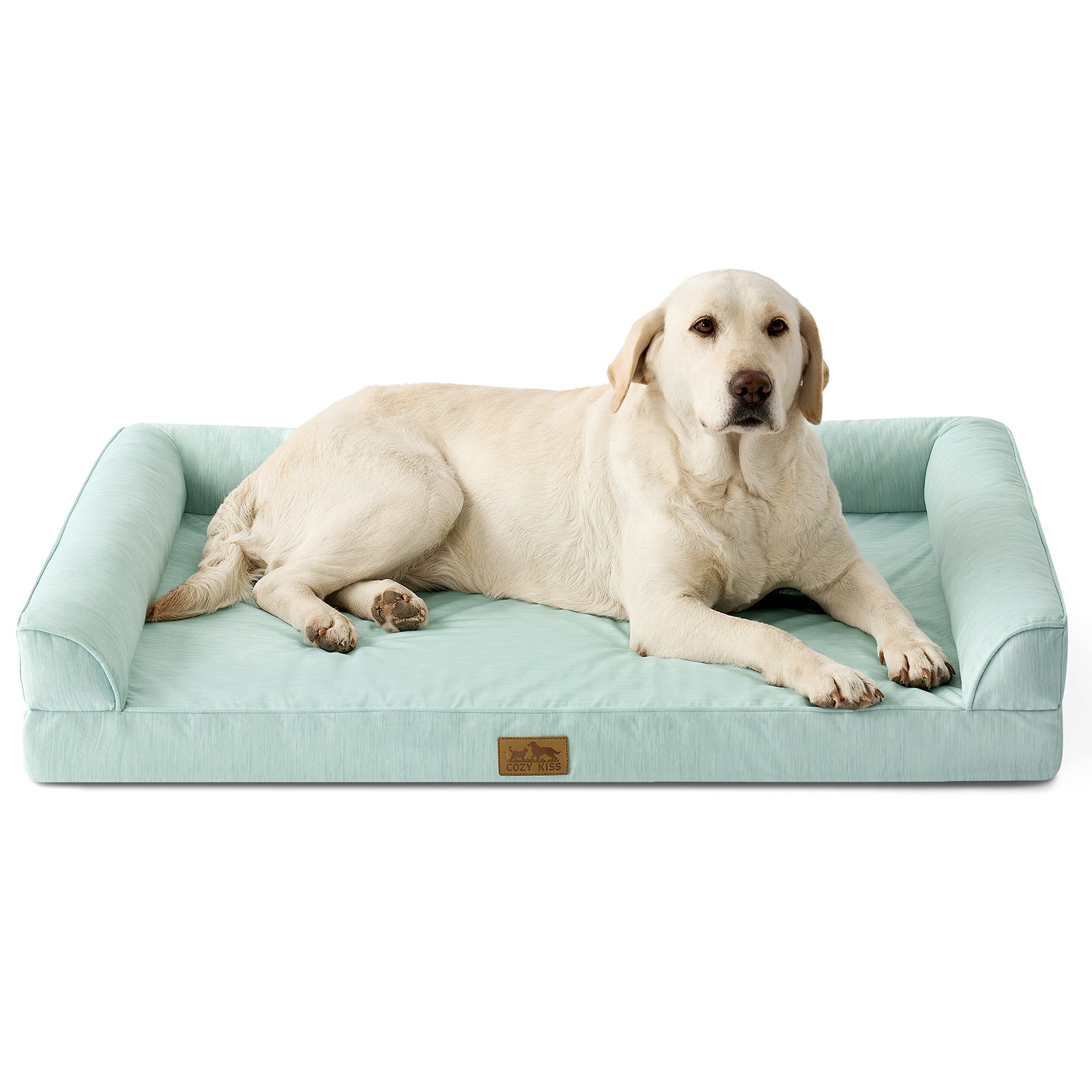 Dog lying on a green pet bed with a white background#color_Sage Green