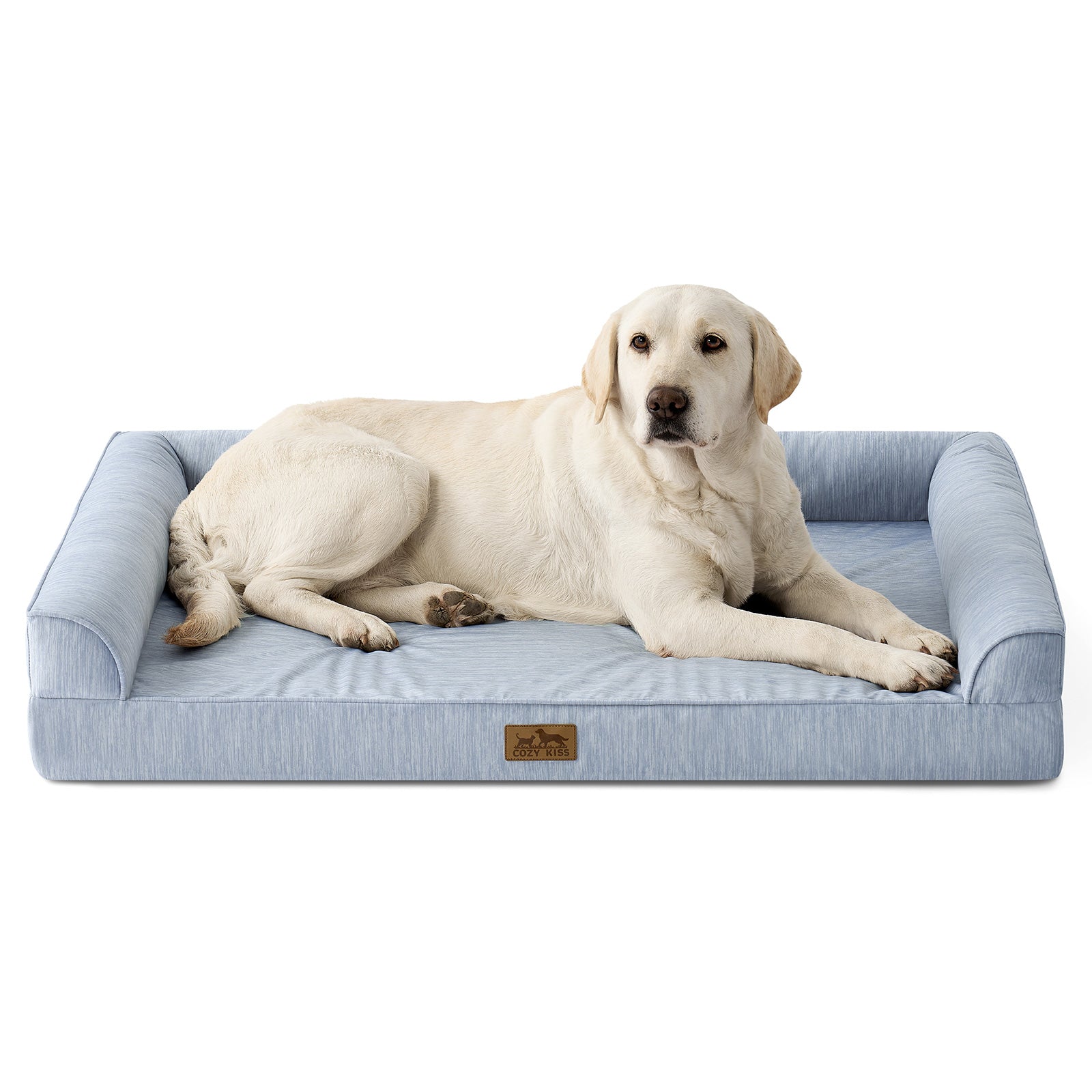 Dog lying on a blue pet bed with a white background#color_Cool Blue