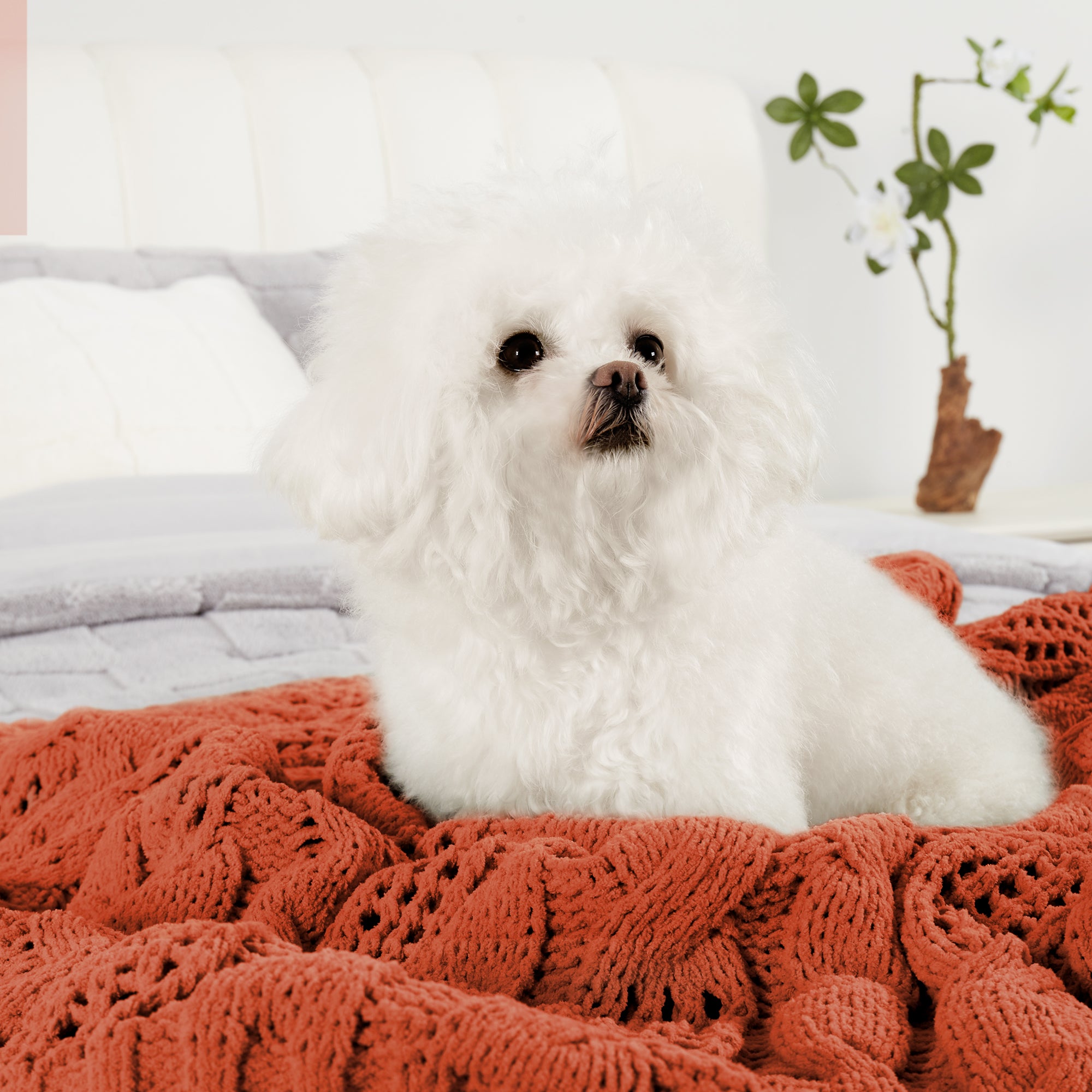 Small dog resting on Chenille Cable Knit Throw Blanket in Burnt Orange, highlighting soft texture and comfort. #color_Burnt Orange