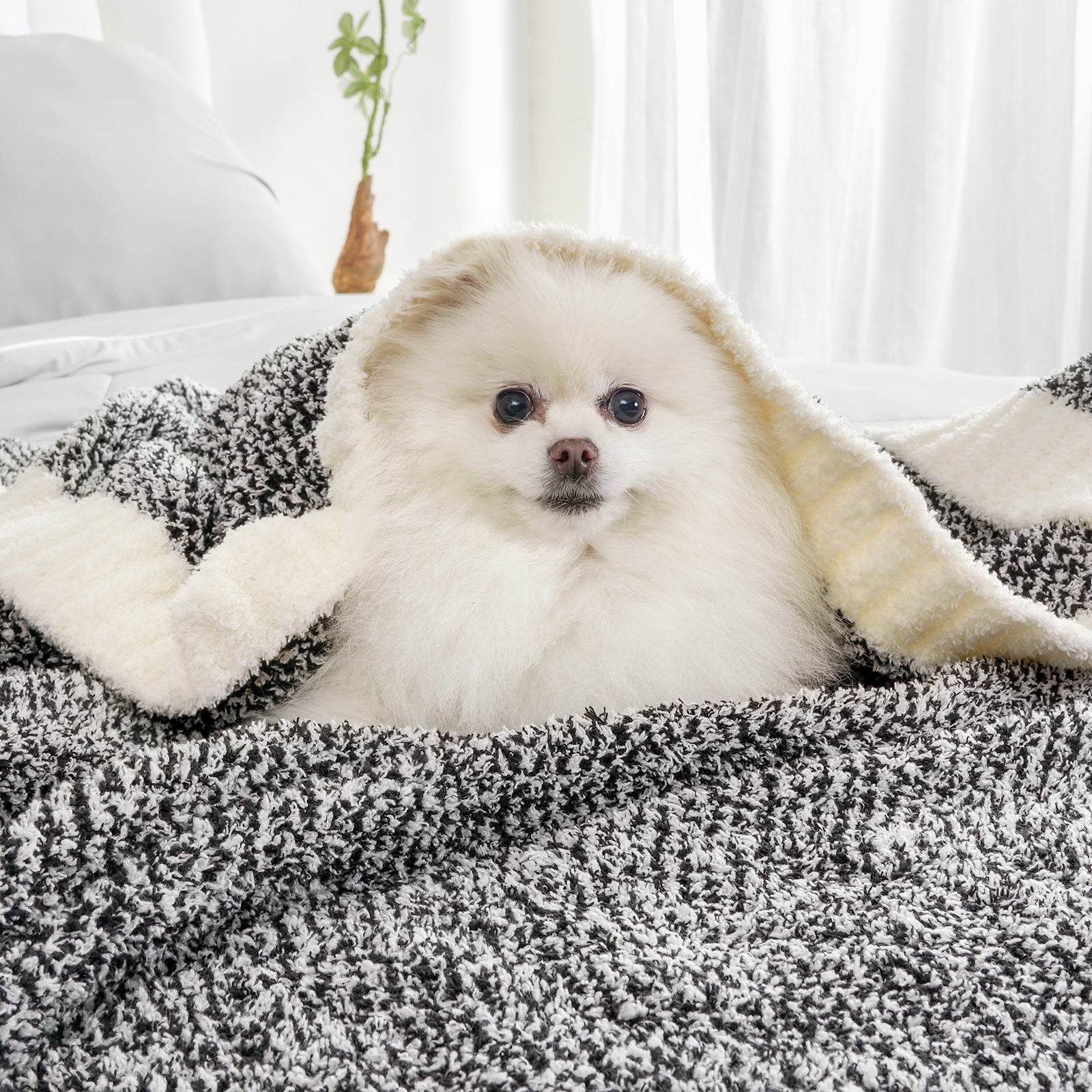 Cozy Bliss x SS Heather Feather Yarn Throw Blanket