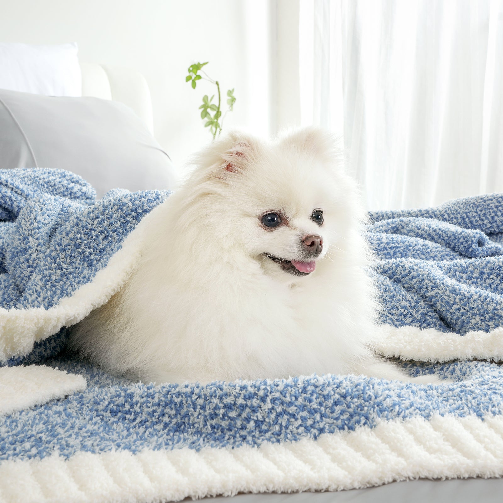 Small dog wrapped in a Heather Feather Yarn Throw Blanket in misty blue, highlighting its ultra soft, pet-friendly and snuggle-ready comfort. #Color_Misty Blue