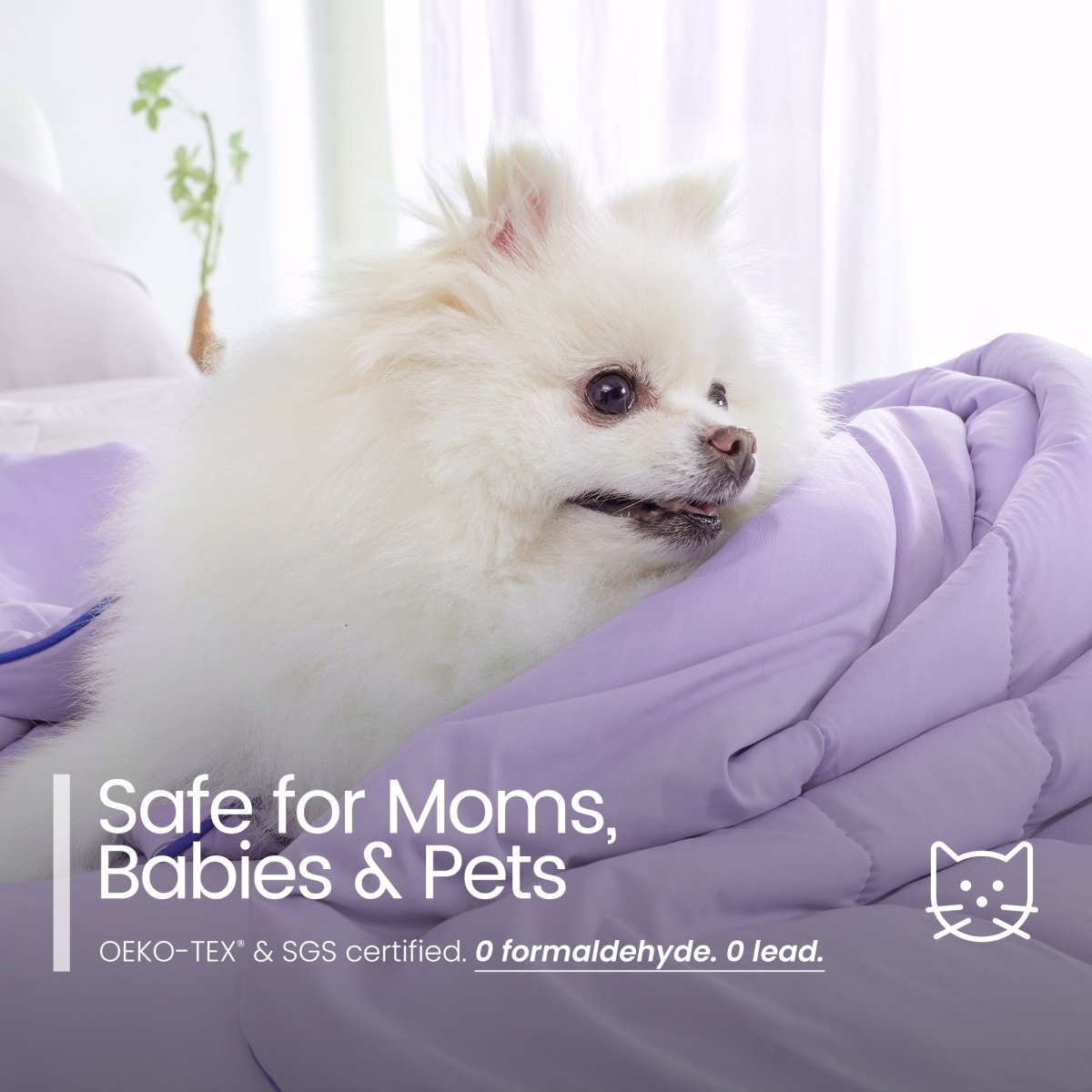 White dog lying on a purple blanket with text about product safety for moms, babies, and pets.#color_Purple