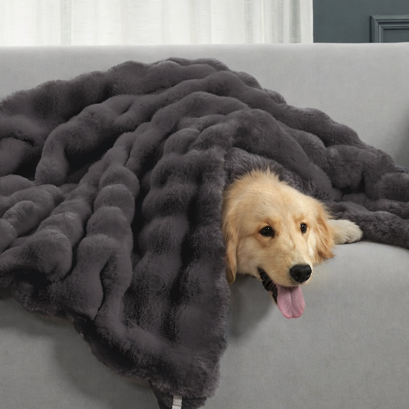 Dog sitting on a Charcoal Grey blanket #Color_Charcoal Grey