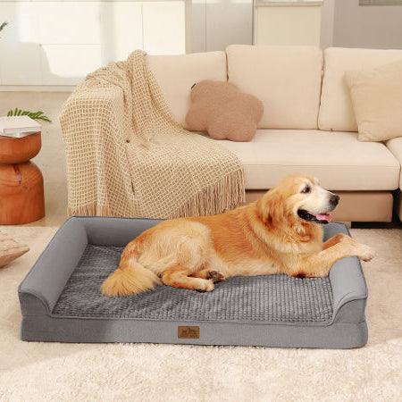 Dog lying on a gray pet bed in a cozy living room.#Color_Grey