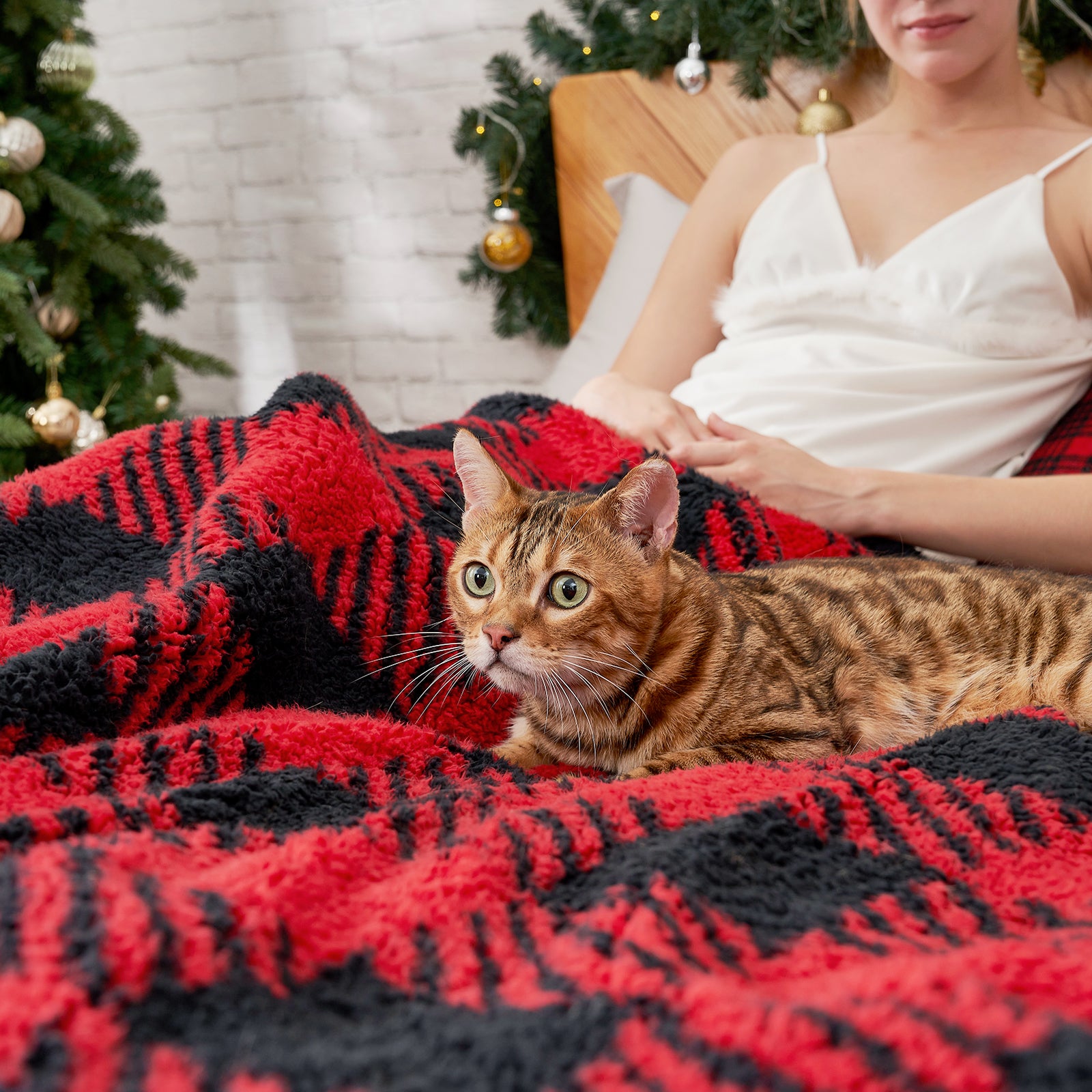 Cat lying on a red and black checkered blanket with a person sitting behind it, Christmas tree in the background. #Color_Red/Black Buffalo Check