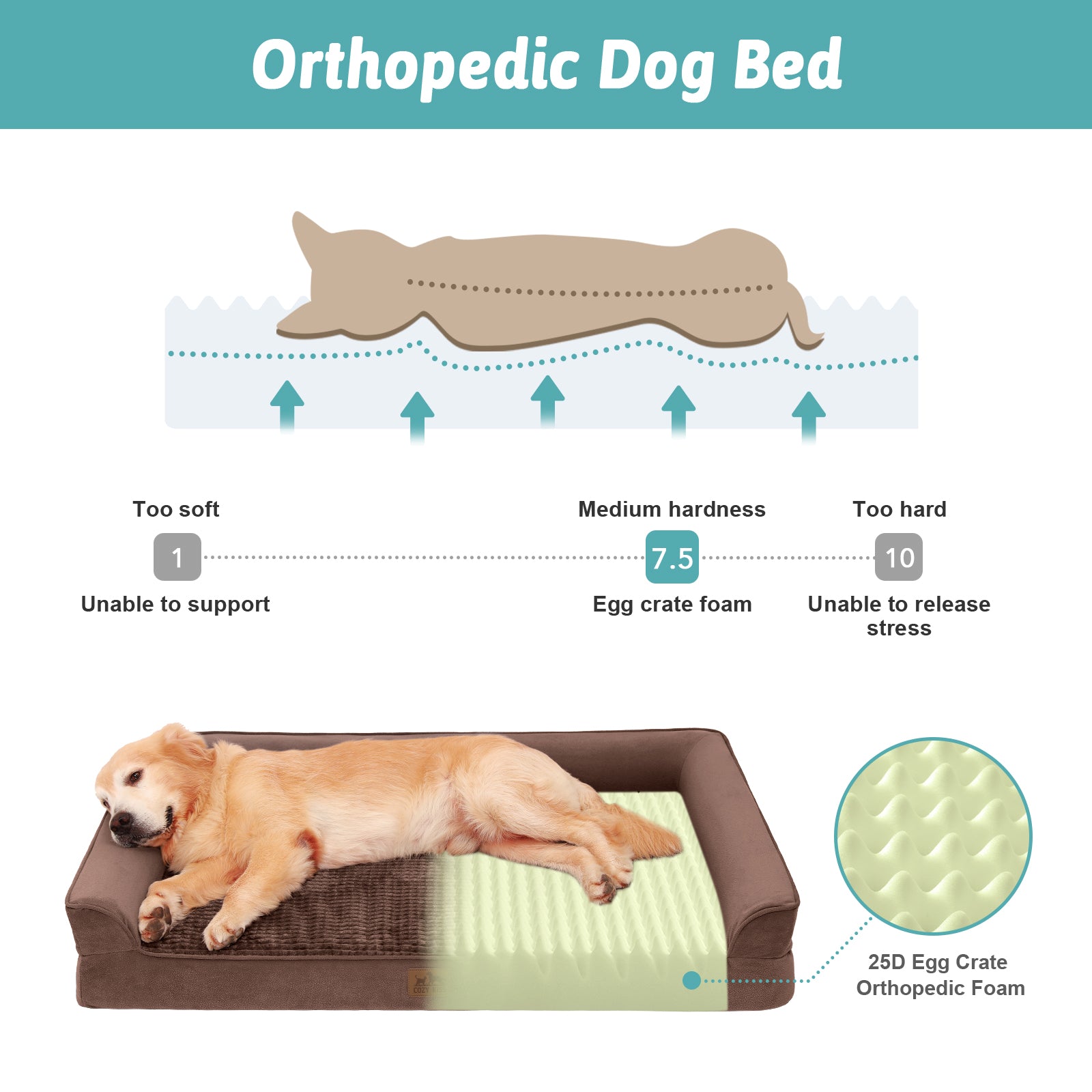 Cozy Bliss X CK U-Shaped Orthopedic Dog Bed