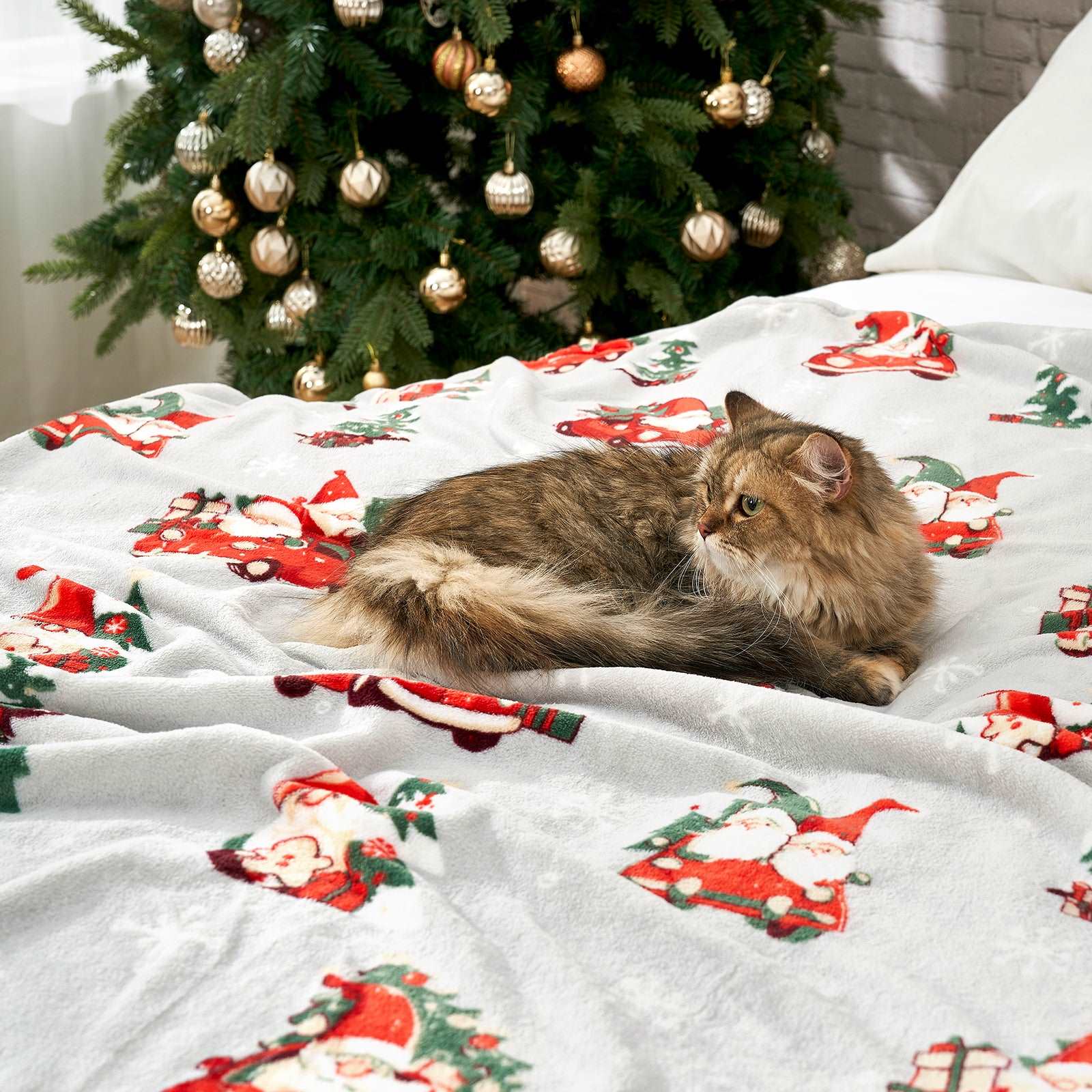 Cozy cat on Gnomes MilkyPlush™ blanket, Christmas decor #color_ Gnome in Truck