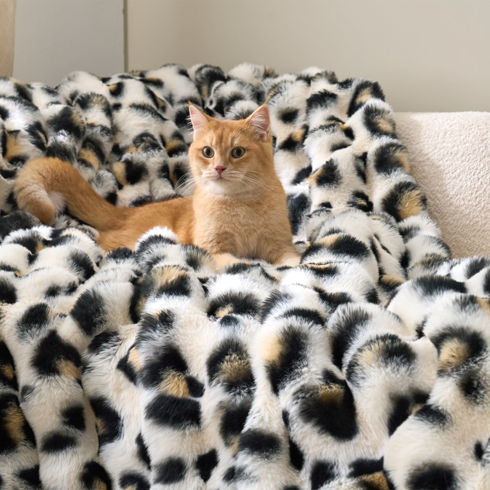 Cat sitting on a black and white patterned blanket #Color_Leopard