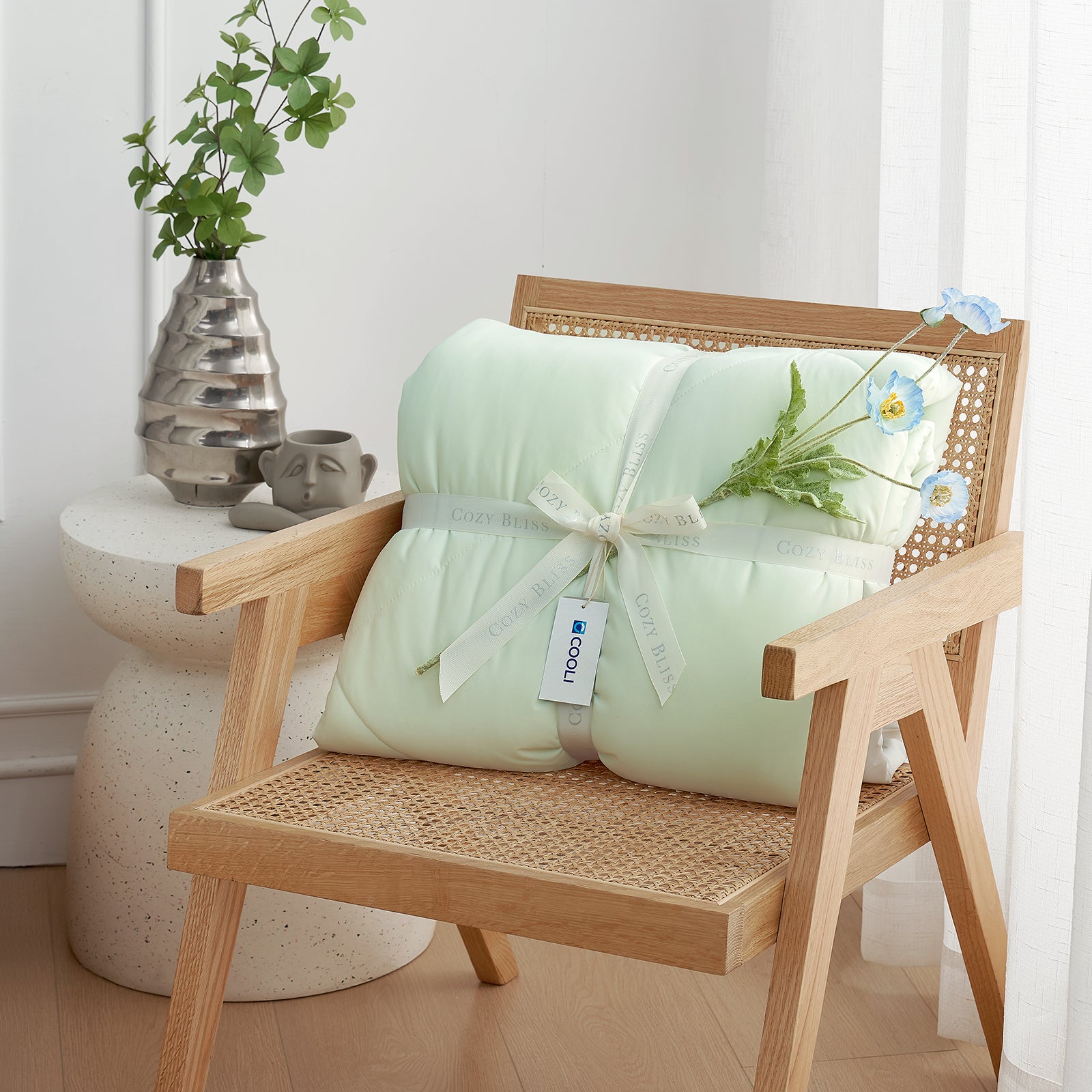 Cozy Bliss Cloud-Like Extra Cooling Comforter in light mnt green wrapped as a gift, perfect cozy and stylish present.#Color_Light Mint Green/Cream