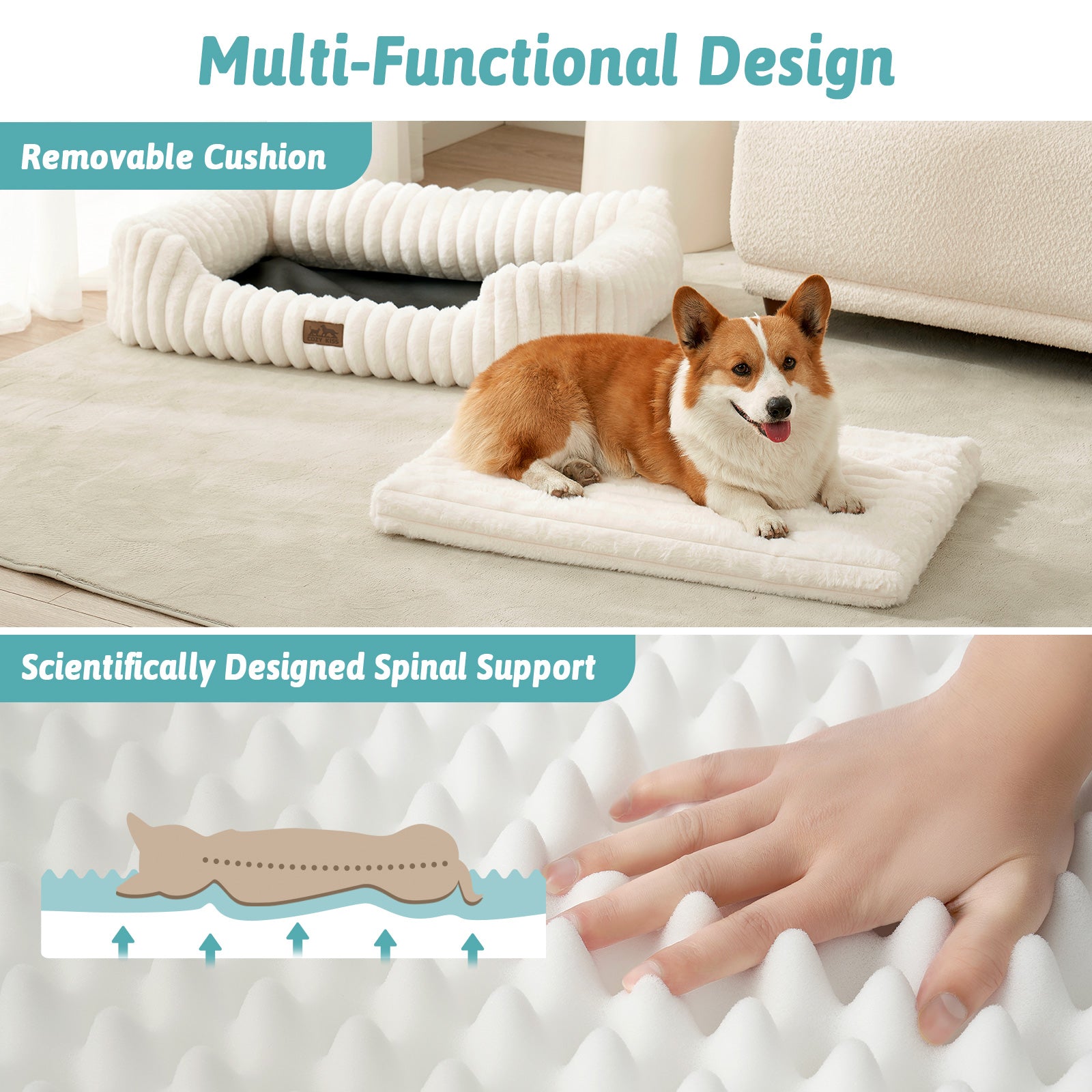 Dog lying on a cushioned pet bed with text highlighting its removable cushion and scientific spinal support.#color_Cream White