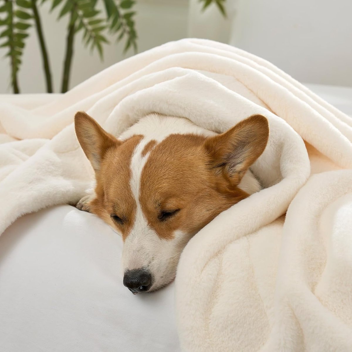 Dog snuggled under a cozy bliss leakproof faux fur pet blanket for a nap. #color_Cream White