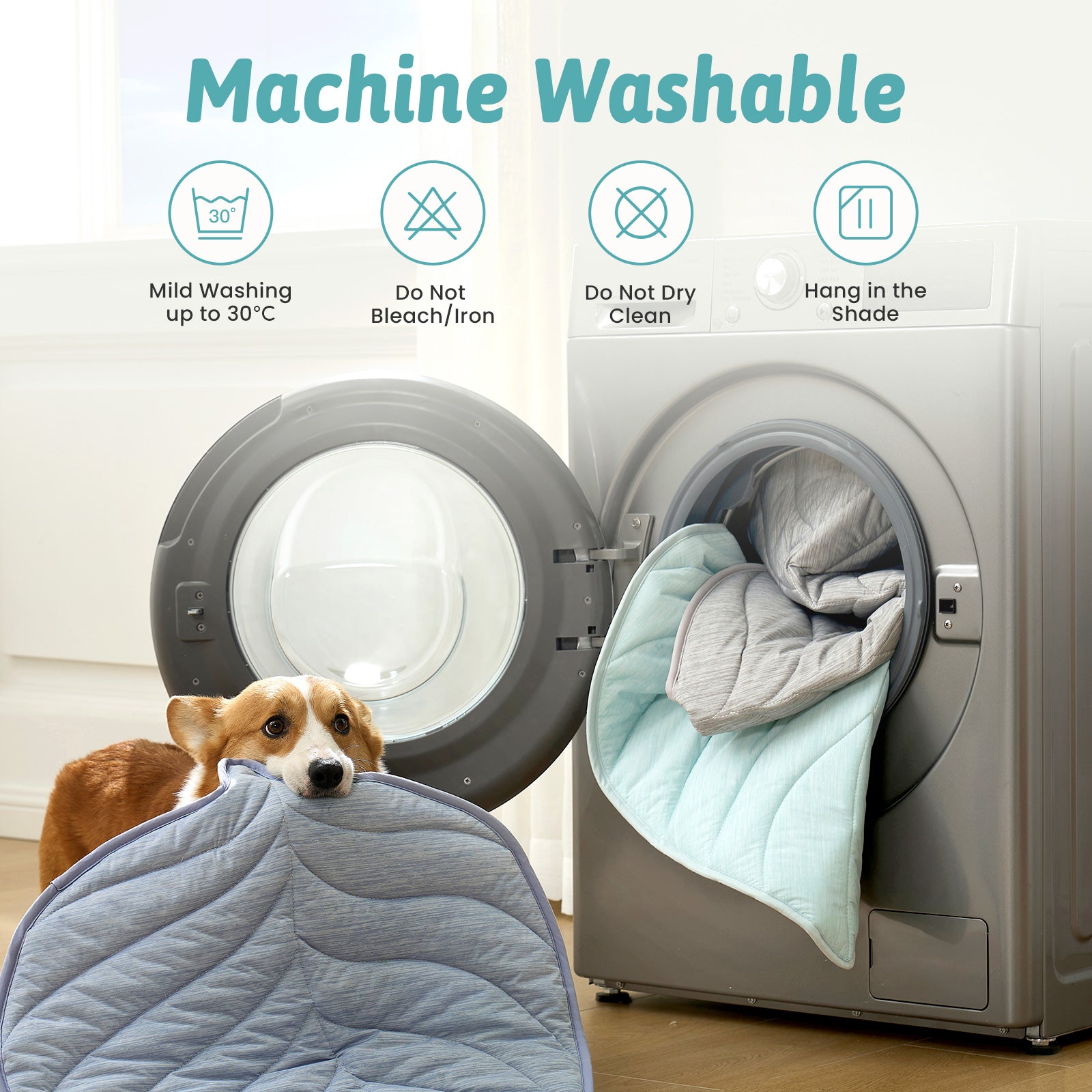 Dog holding a machine washable pet bed with washing machine in the background #color_Cool Blue
