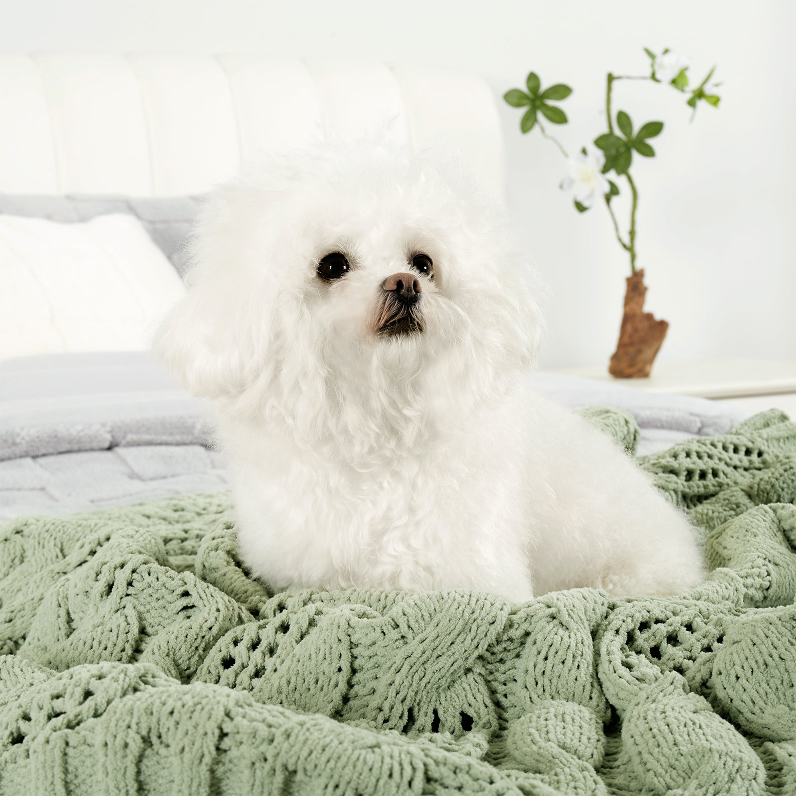 Small dog resting on Chenille Cable Knit Throw Blanket in Sage Green, highlighting soft texture and pet-friendly comfort. #color_Sage Green
