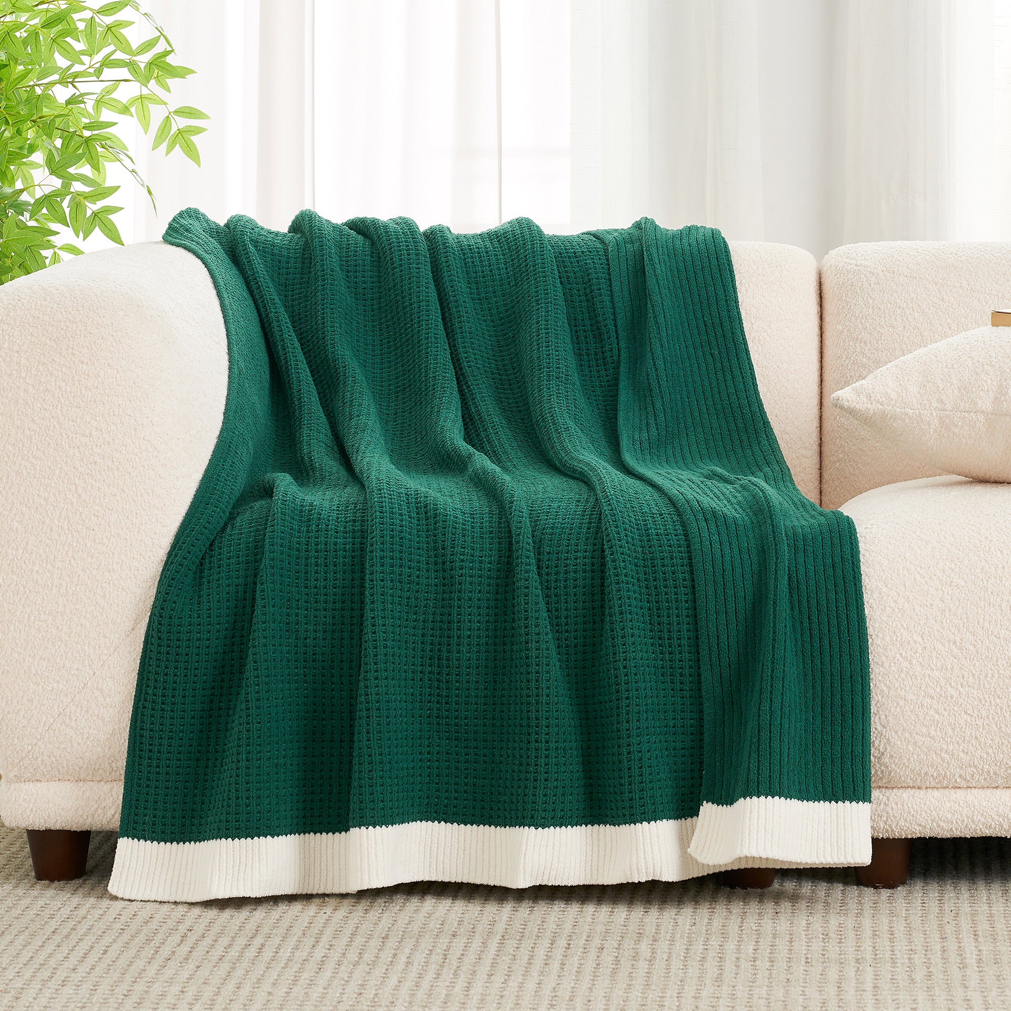 Green blanket draped over a beige sofa with a plant in the background #color_Green