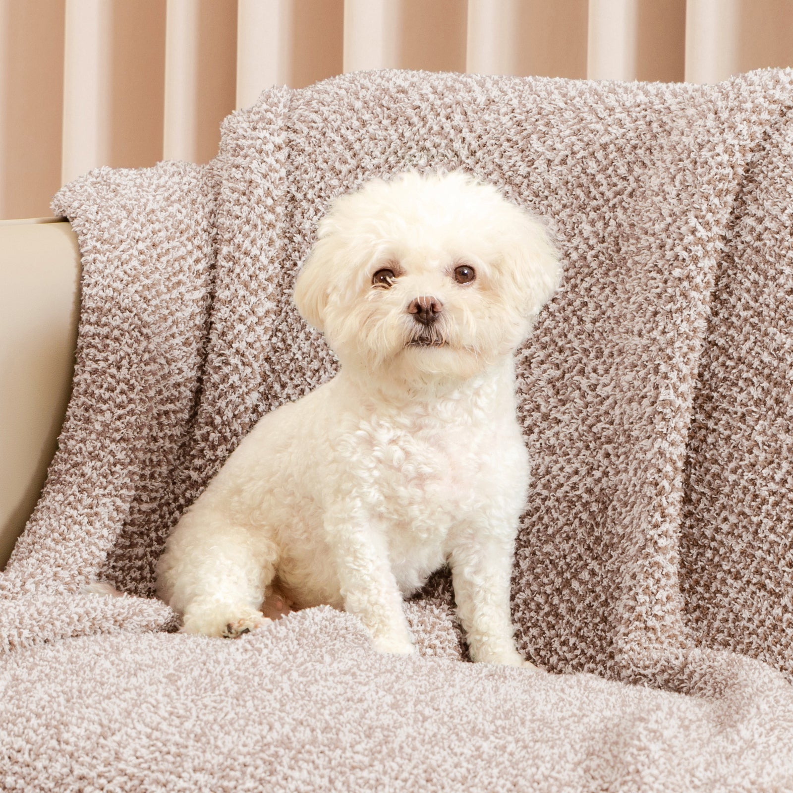 Cozy Bliss x SS Heather Feather Yarn Throw Blanket