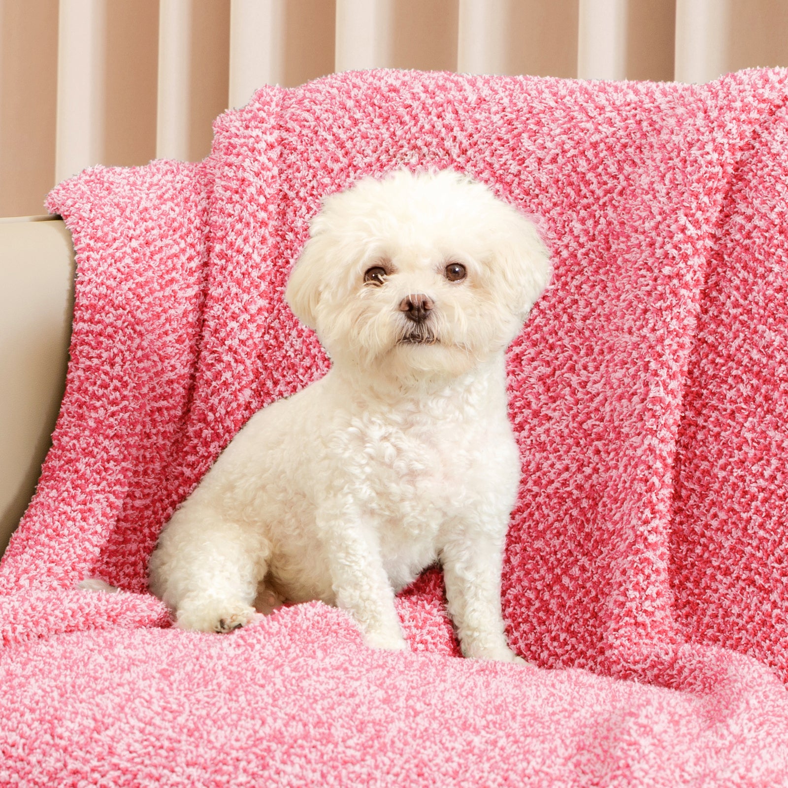 Cozy Bliss x SS Heather Feather Yarn Throw Blanket