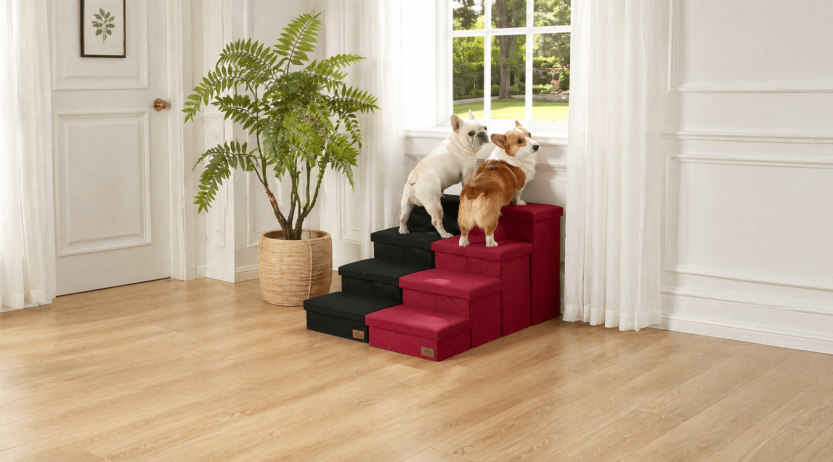 Do Dogs Need Stairs? Signs Your Dog Might Benefit from Pet Stairs - Cozy Bliss