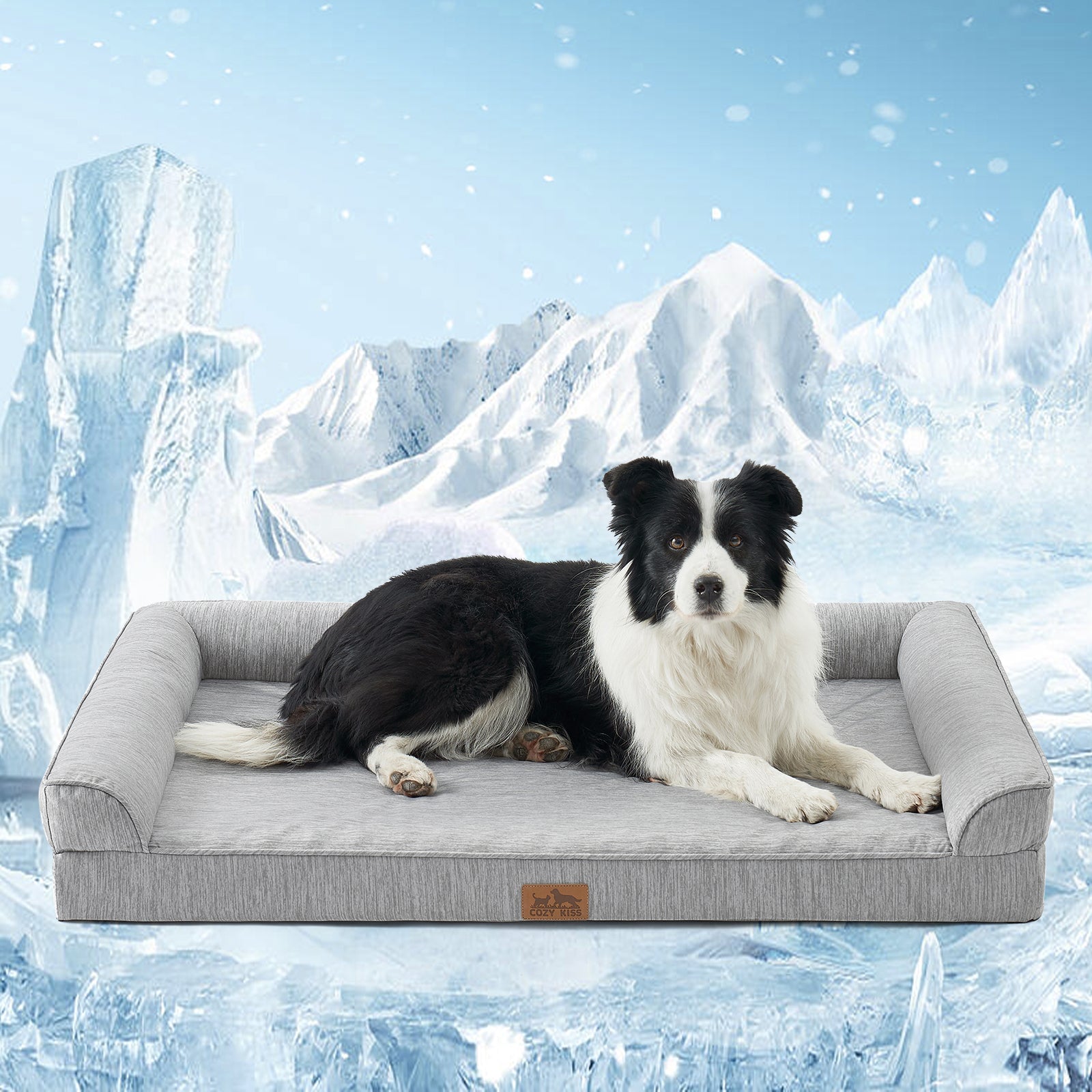 Dog lying on a gray pet bed with a snowy mountain background#color_Grey