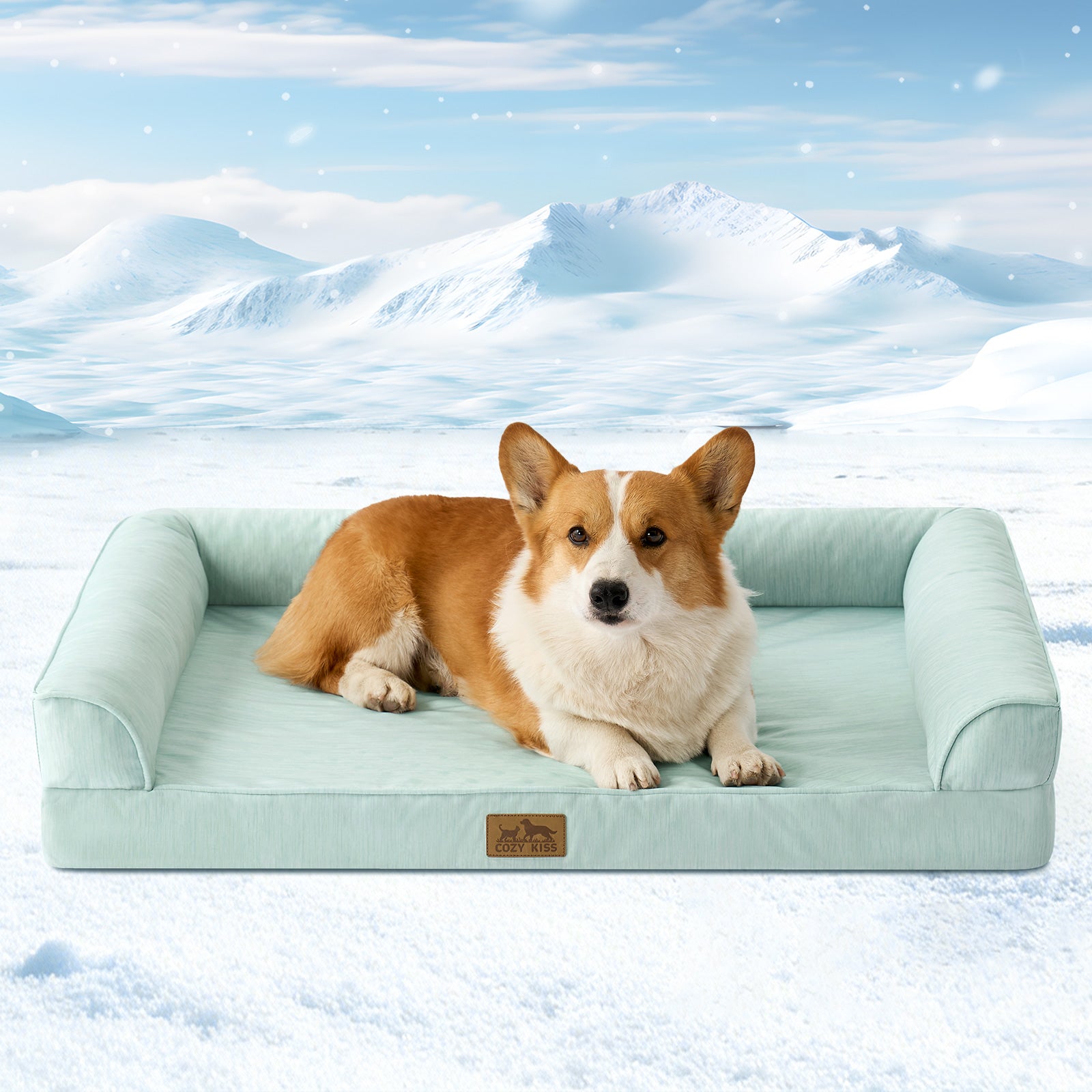 Dog lying on a sage green pet bed with a snowy mountain background#color_Sage Green