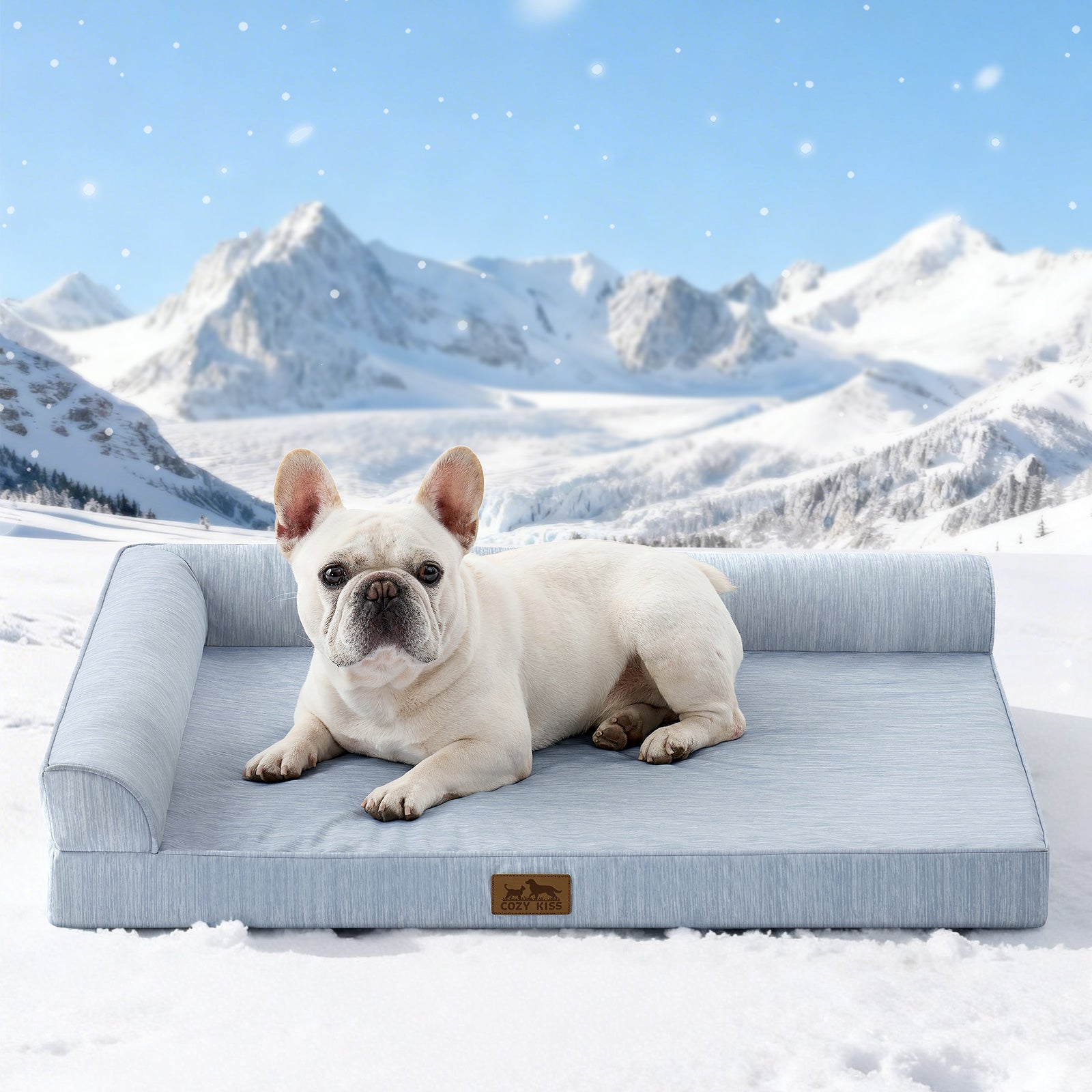 Dog lying on a blue pet bed in a snowy landscape with mountains.#color_Cool Blue