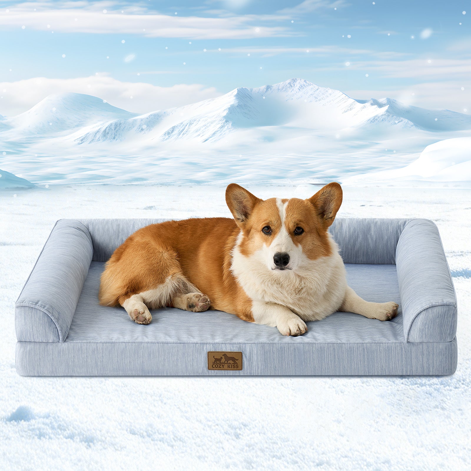Dog lying on a cool blue pet bed in a snowy landscape#color_Cool Blue