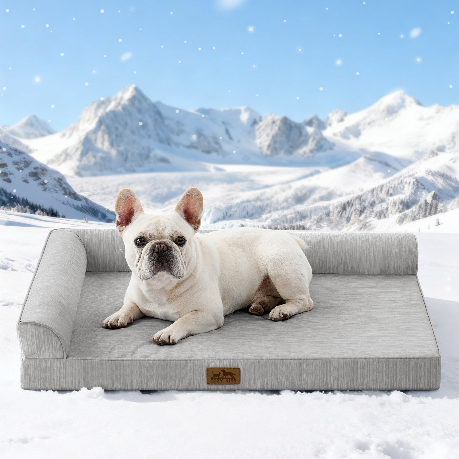 Dog lying on a gray pet bed with a snowy mountain landscape in the background#color_Grey