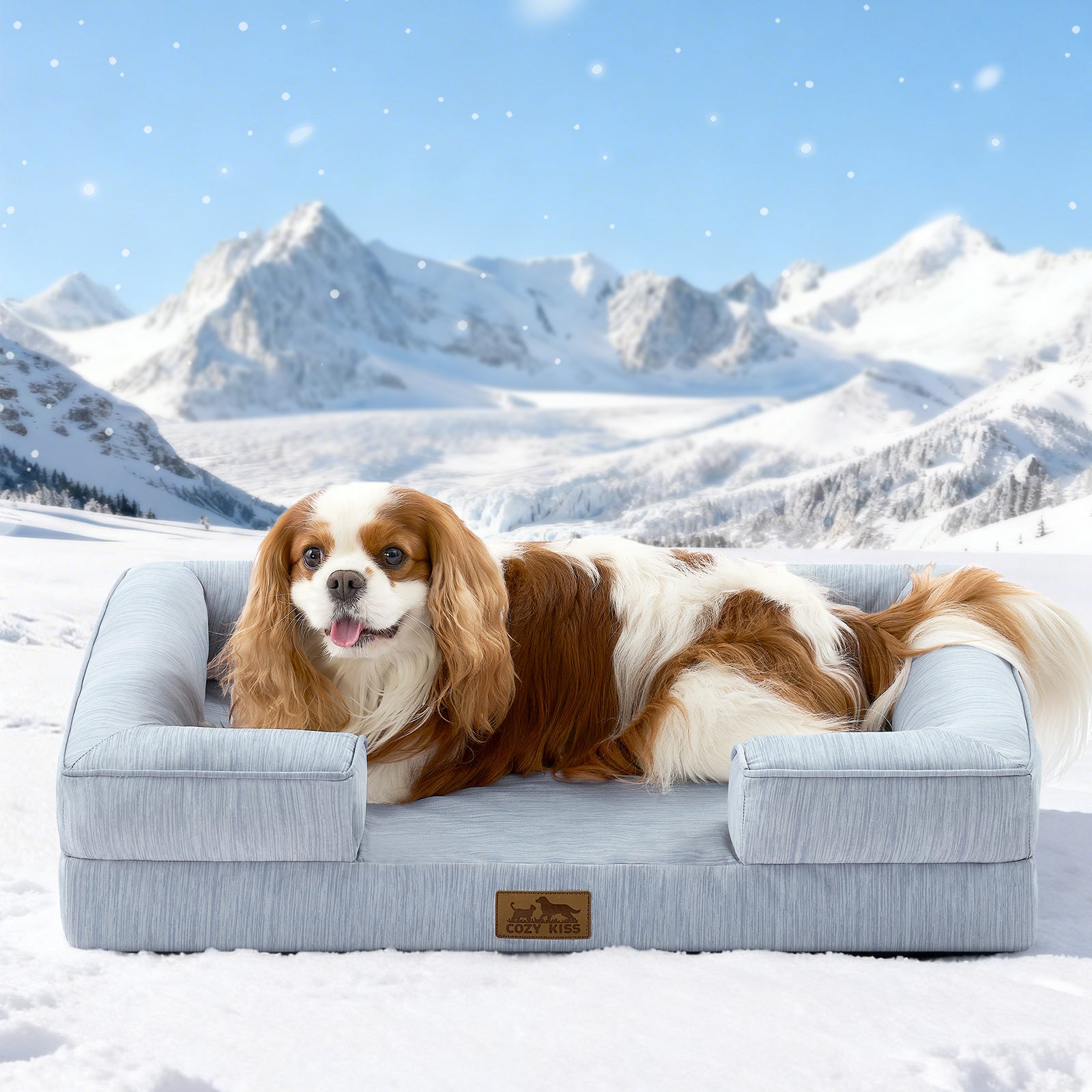 Dog lying on a cool blue dog bed in a snowy landscape with mountains.#color_Cool Blue