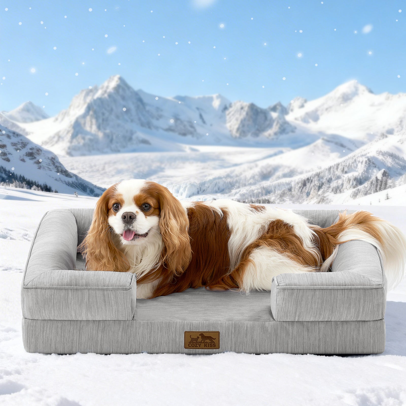 Dog lying on a gray pet bed in a snowy landscape with mountains.#color_Light Grey