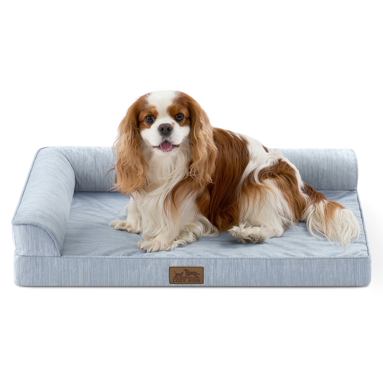 Small dog sitting on a blue pet bed#color_Cool Blue
