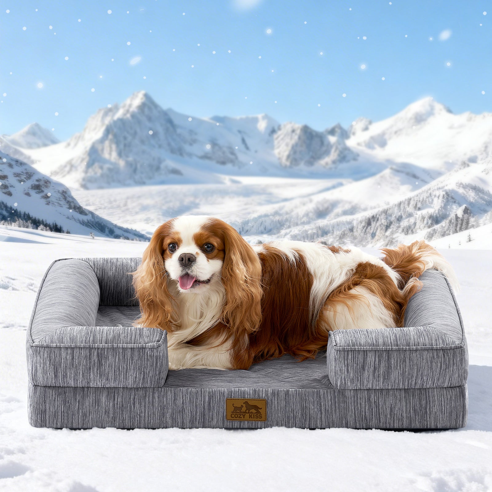 Dog lying on a gray pet bed in a snowy landscape with mountains.#color_Dark Grey