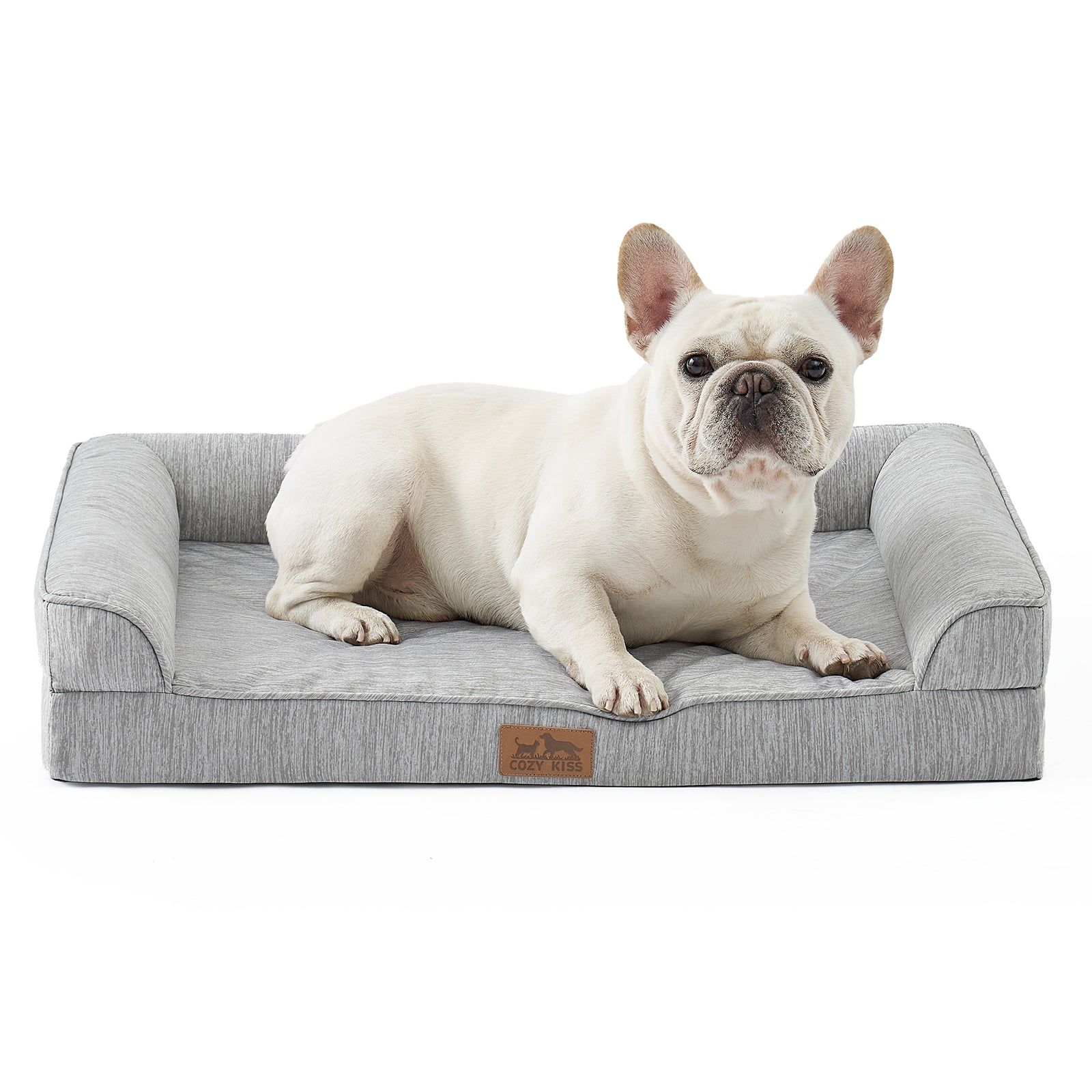 Dog lying on a gray pet bed with a white background#color_Grey