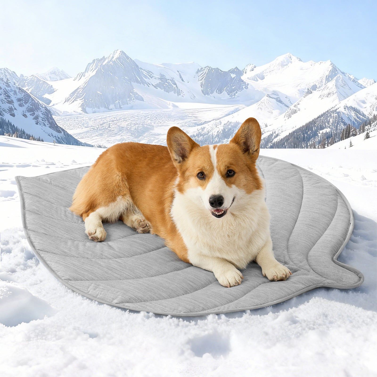 Dog lying on a grey pet bed in a snowy landscape with mountains. #color_Grey