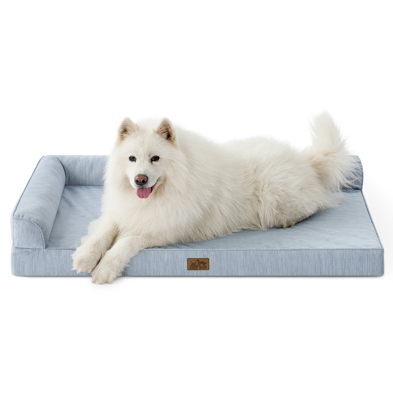 White Large dog lying on a blue pet bed with a white background#color_Cool Blue
