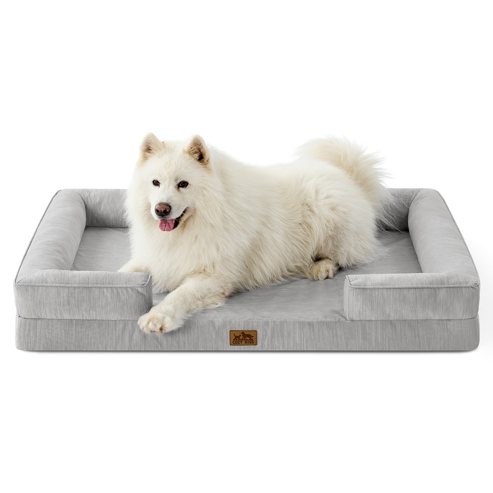 White dog lying on a gray pet bed with a white background#color_Light Grey