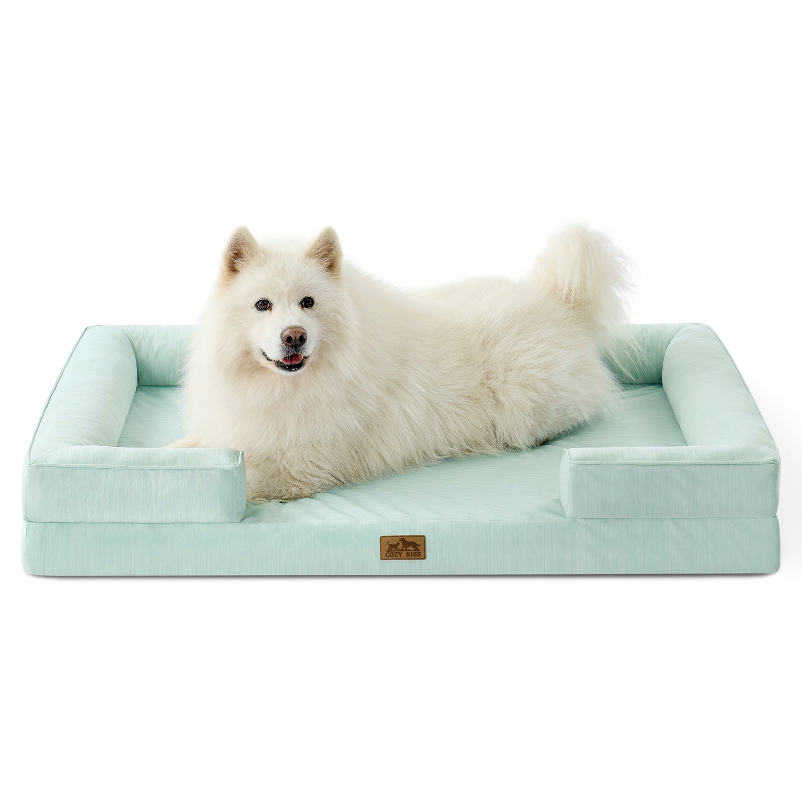 White dog lying on green pet bed#color_Sage Green