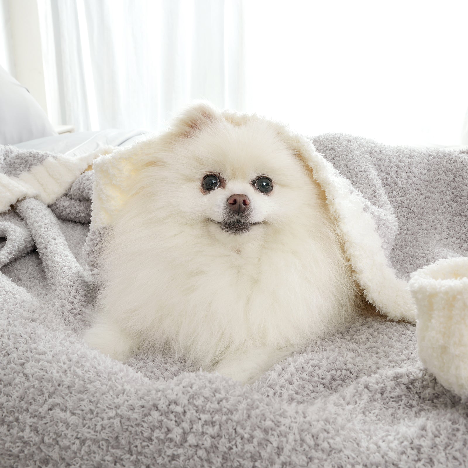 Cozy Bliss x SS Heather Feather Yarn Throw Blanket