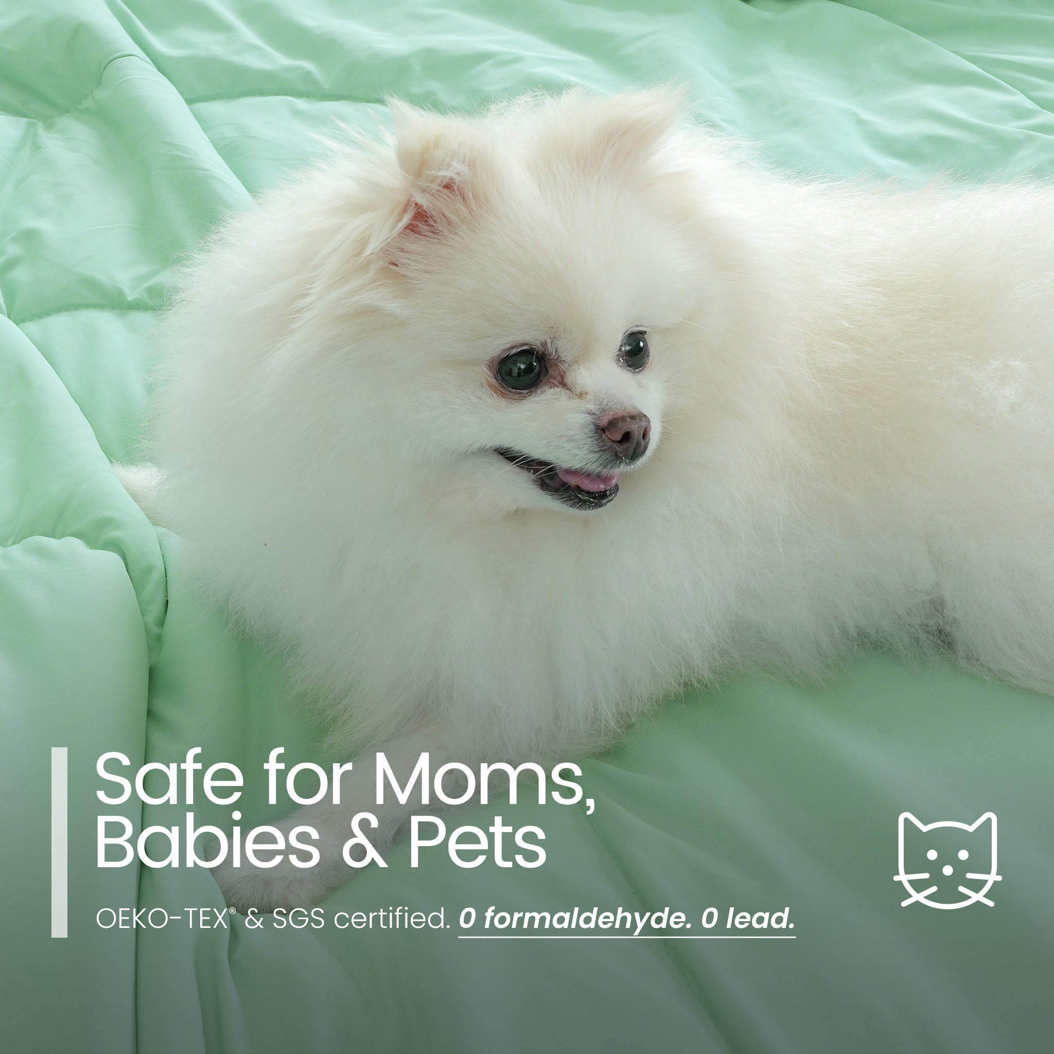White fluffy dog lying on a light green comforter with text about product safety for moms, babies, and pets.#color_Mint Macaron