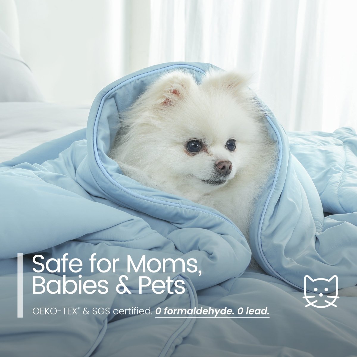 White dog peeking out from a blue blanket with safety certification text.#color_Sky Blue