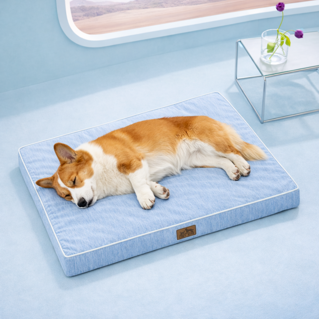 Dog sleeping on a gray cooling pet bed in a light blue room with a window in the background.#color_Cool Blue