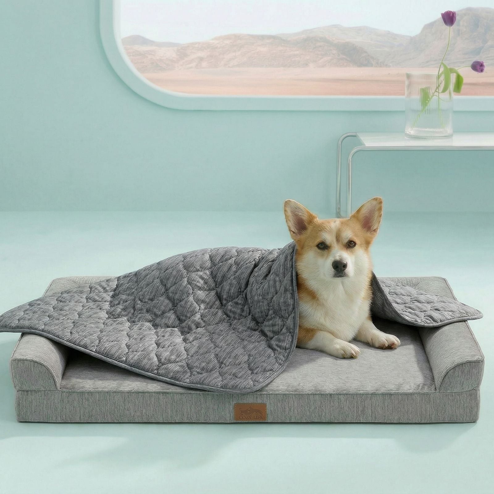 Cozy Bliss pet cooling blanket front view with Dog sitting on it. #color_Dark Grey