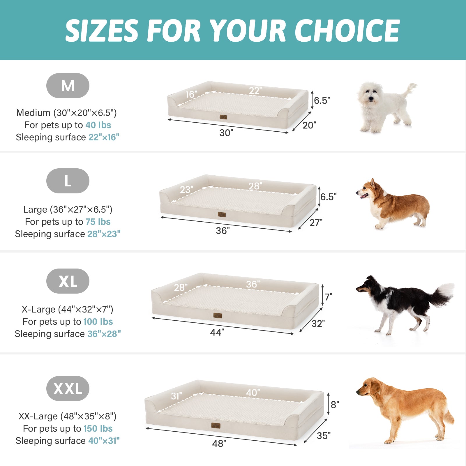Dog bed size chart with dimensions for small, medium, large, and x-large sizes.  #color_Black
