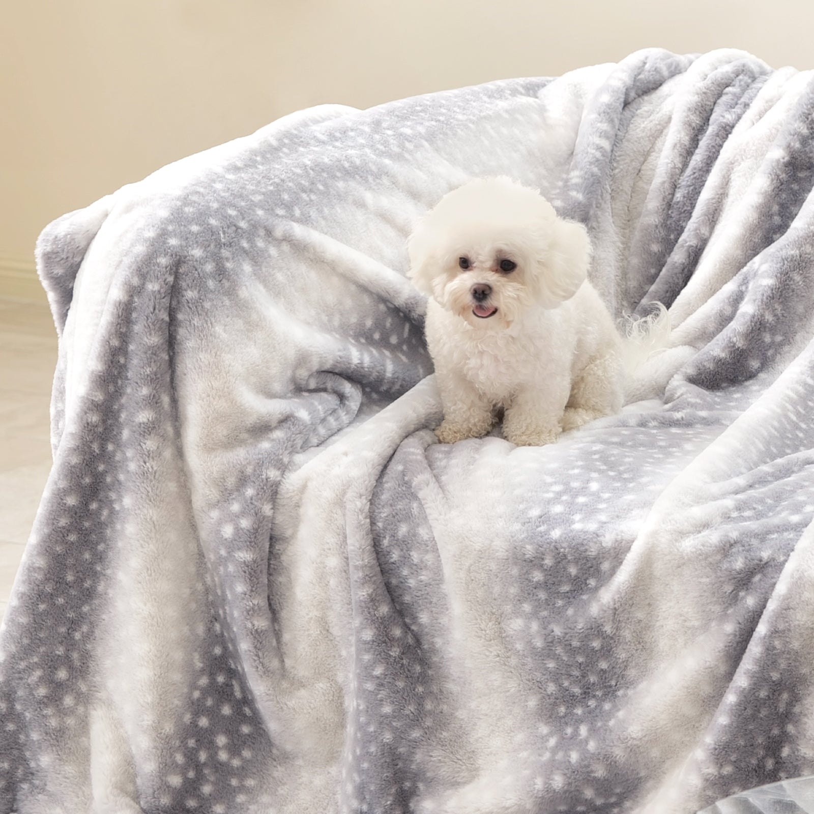 Small white dog sitting on a soft gray blanket with a neutral background  #color_Grey
