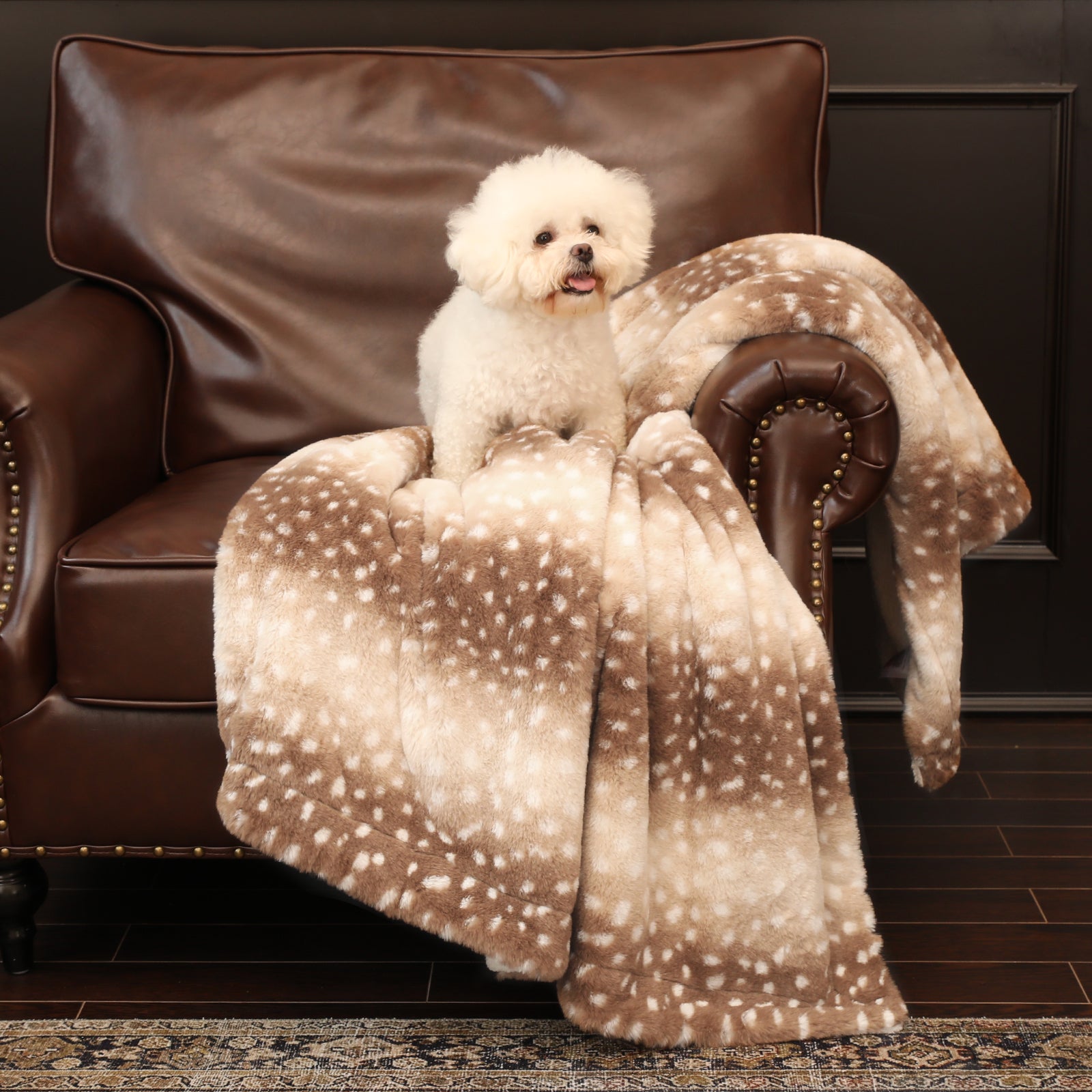 Dog sitting on a brown leather chair with a matching blanket  #color_Brown