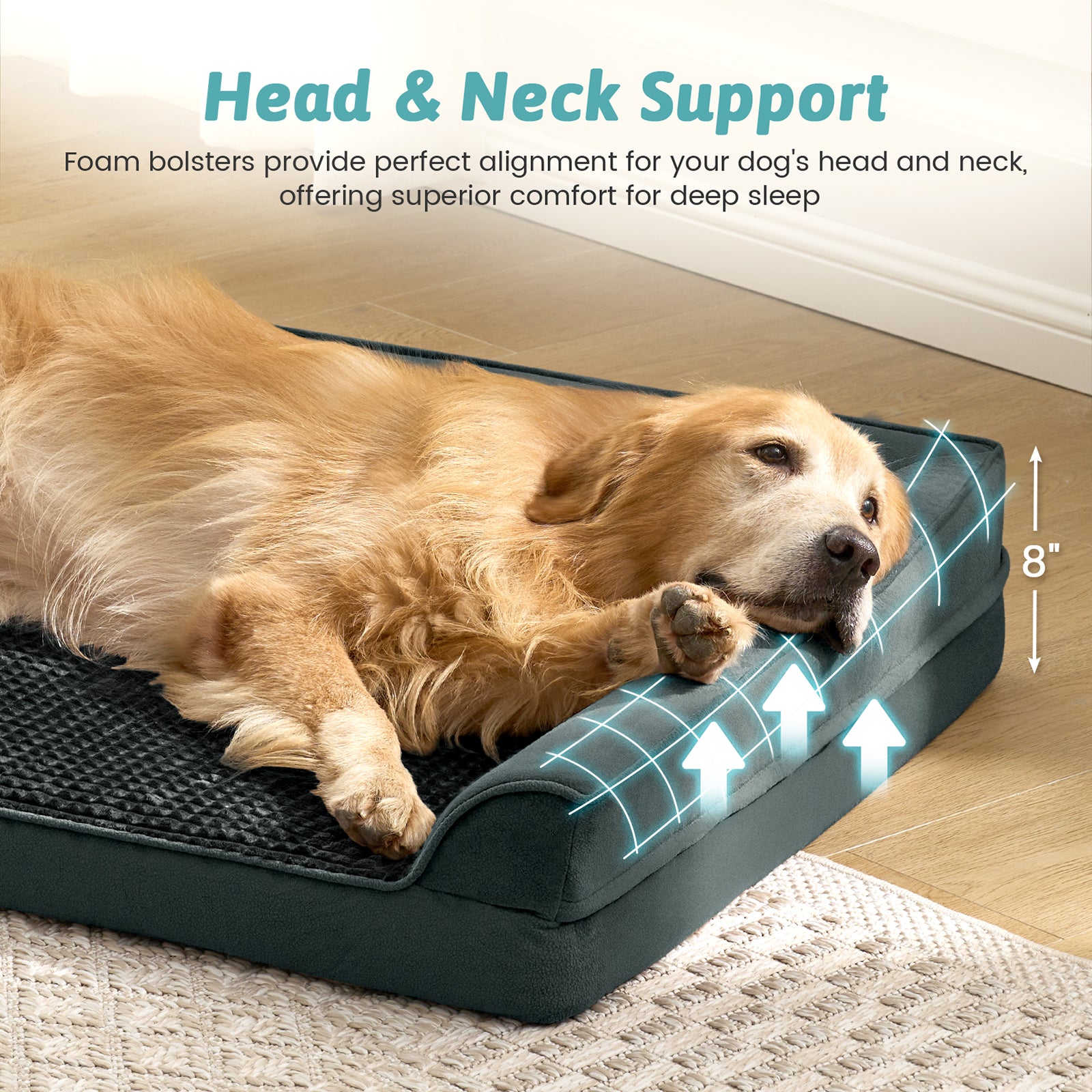 Dog lying on a black pet bed in a cozy living room. #color_Black