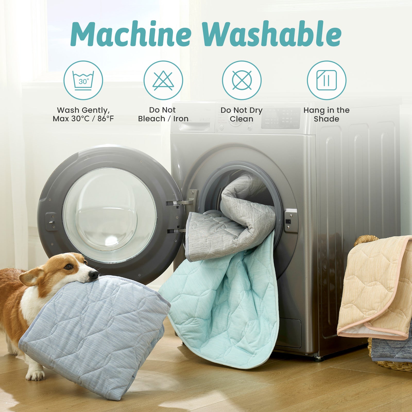Dog interacting with a machine washable product next to a washing machine with care instructions displayed.
