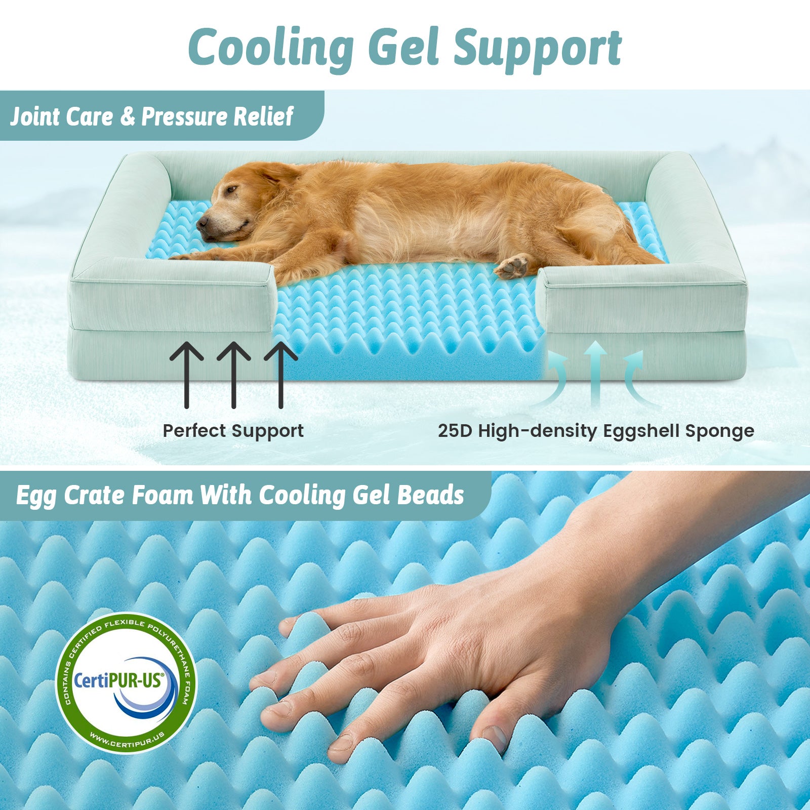 Dog lying on a cooling support bed with text highlighting features.#color_Sage Green