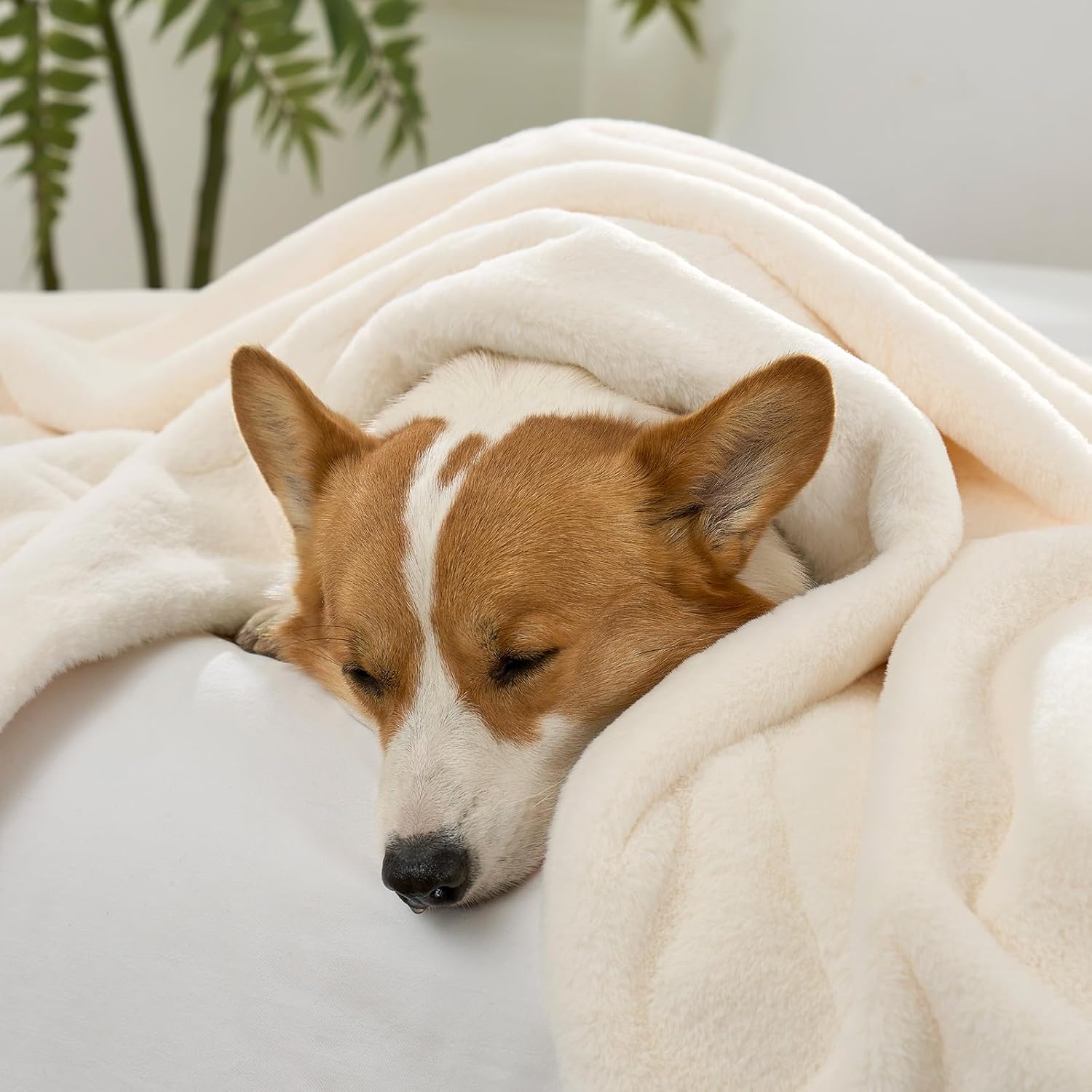 Dog snuggled under a cozy bliss leakproof faux fur pet blanket for a nap. #color_Cream White